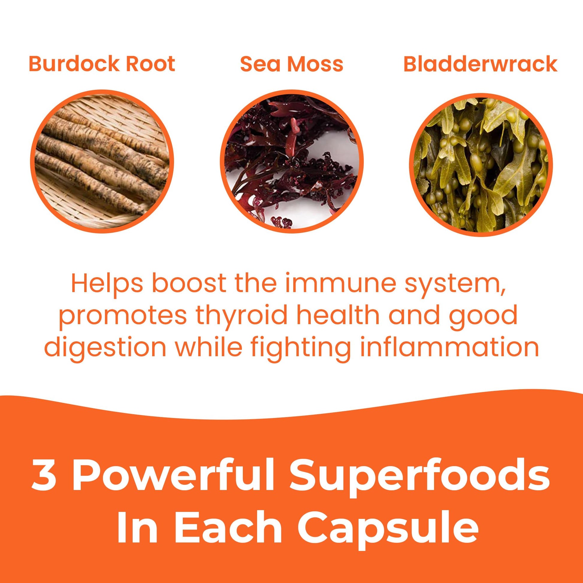 INFINITE AGE 1250mg Sea Moss Advanced Superfood Capsules, 60 Count - High-Potency, Vegan, Made in The USA - Irish Seamoss, Bladderwrack, Burdock Root - Overall Health, Immunity Support INFINITE AGE Au supplements