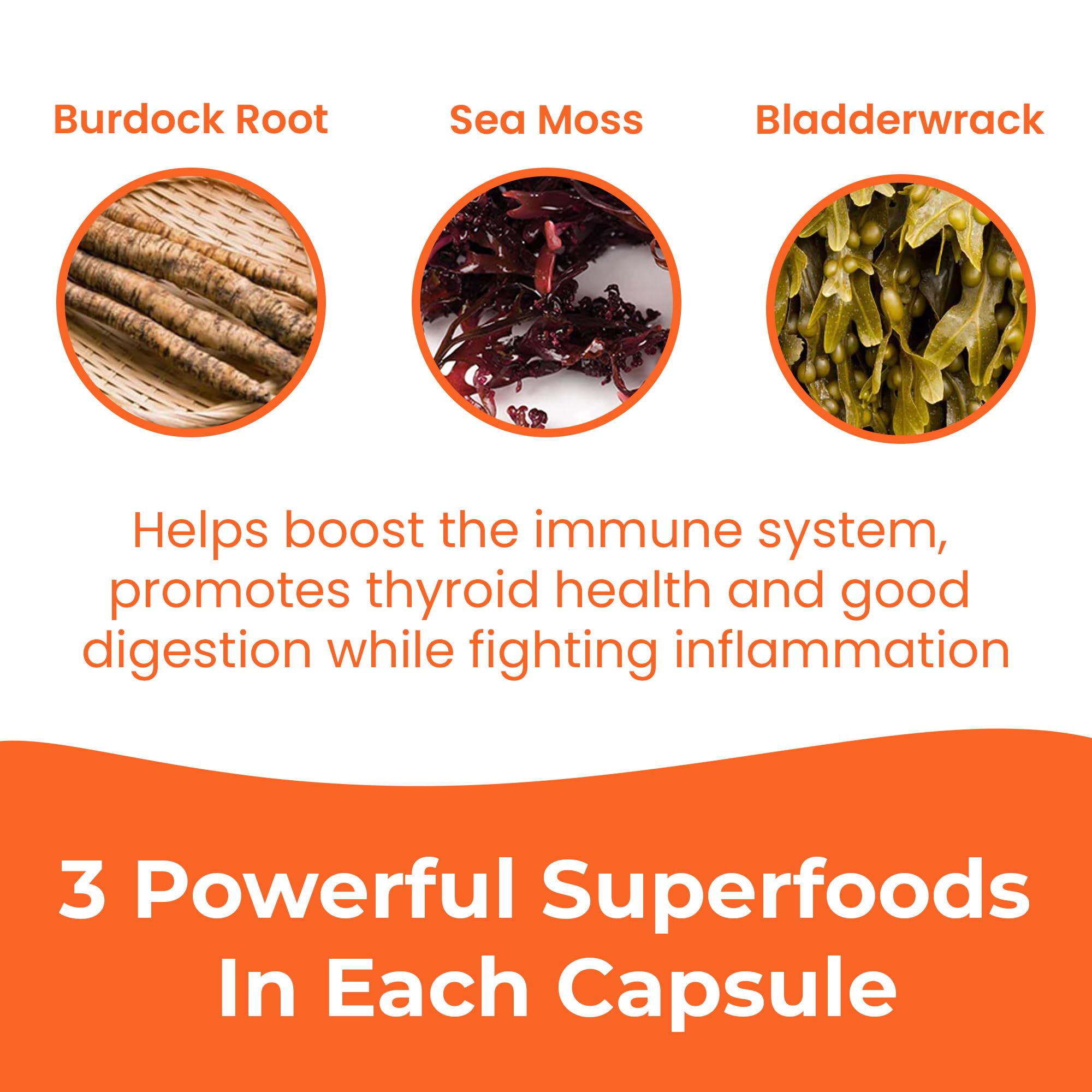 INFINITE AGE 1250mg Sea Moss Advanced Superfood Capsules, 60 Count - High-Potency, Vegan, Made in The USA - Irish Seamoss, Bladderwrack, Burdock Root - Overall Health, Immunity Support INFINITE AGE Au supplements