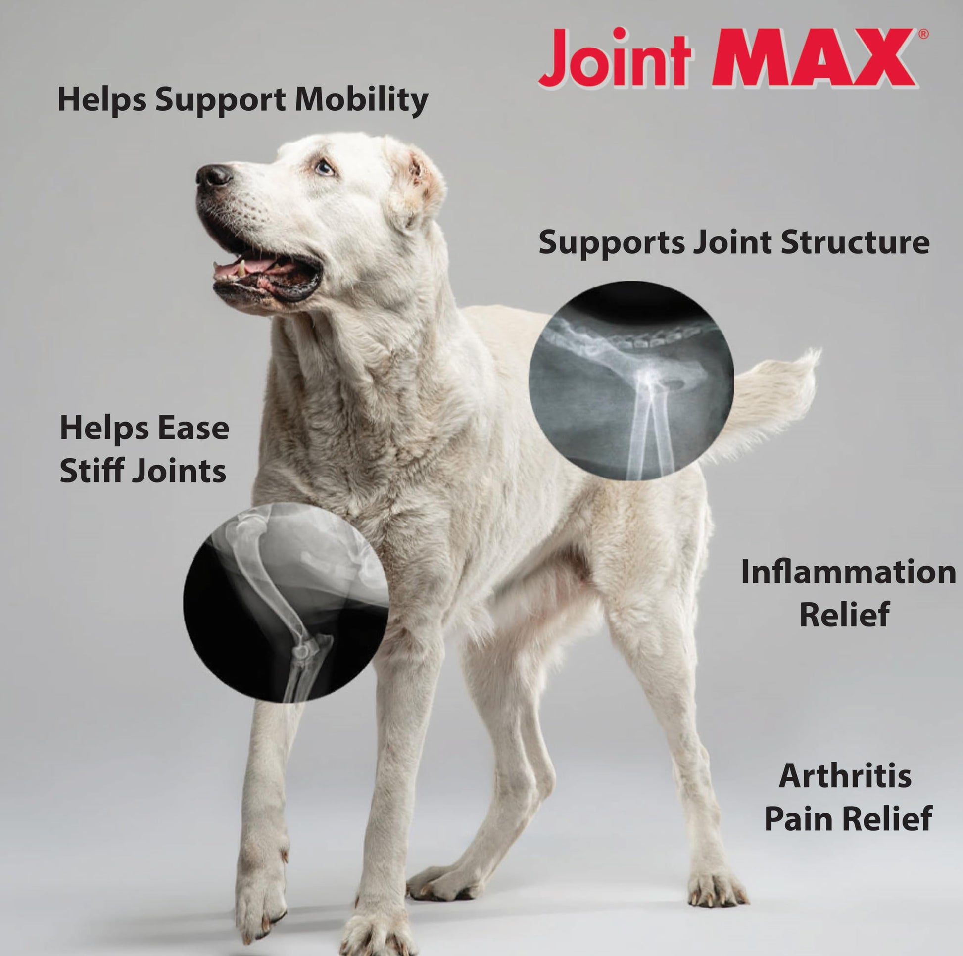 Joint MAX Triple Strength Hypo-Allergenic Soft Chews for Dogs - Hip and Joint Support Supplement with Glucosamine, Chondroitin, & MSM - Made in The USA - 120 Soft Chews Joint Max Au supplements