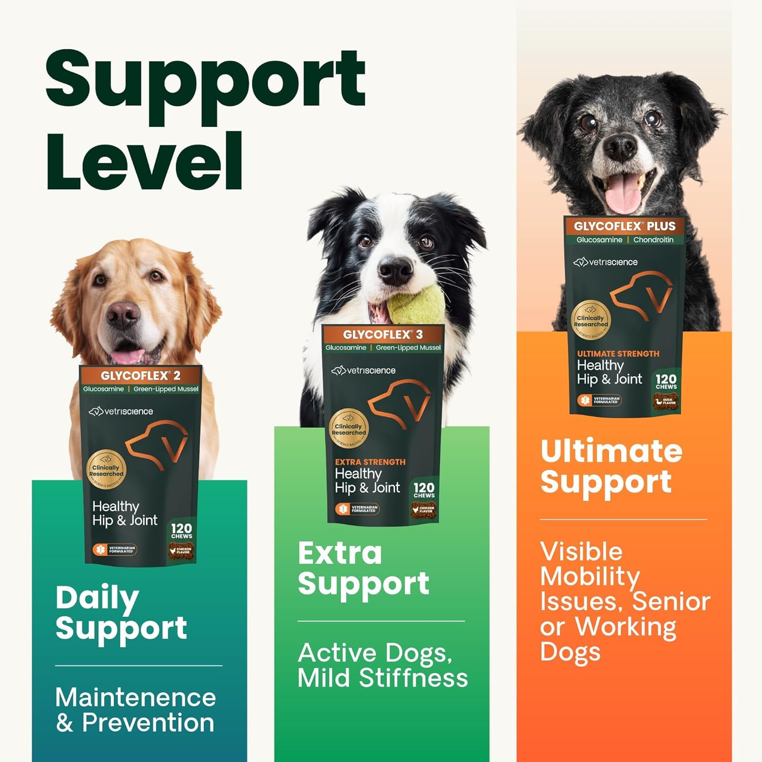 VetriScience Ultimate Strength Healthy Hip & Joint Chews, GlycoFlex Glucosamine, Chondroitin and Green-Lipped Mussel Joint Support Supplement for Dogs, Soothe Joint Discomfort, Duck, 120 Count VETRISCIENCE Au supplements