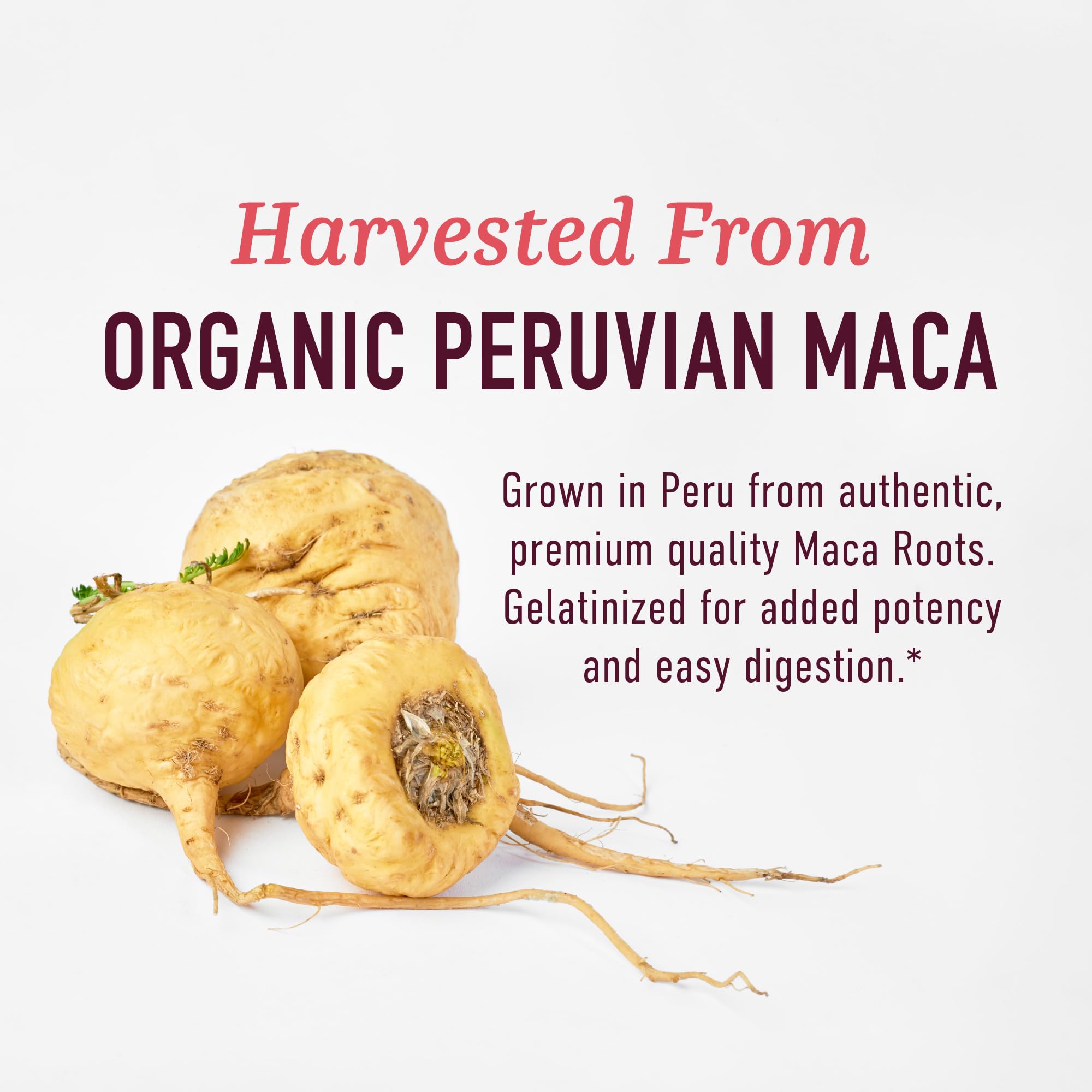 Organic Maca Root Capsules for Women | Peruvian Maca 2250MG Extra Strength | Red, Black & Yellow Root Powder with Black Pepper | Herbal Supplement to Support Energy & Hormone Balance | 120 Ct SMNutrition Au supplements