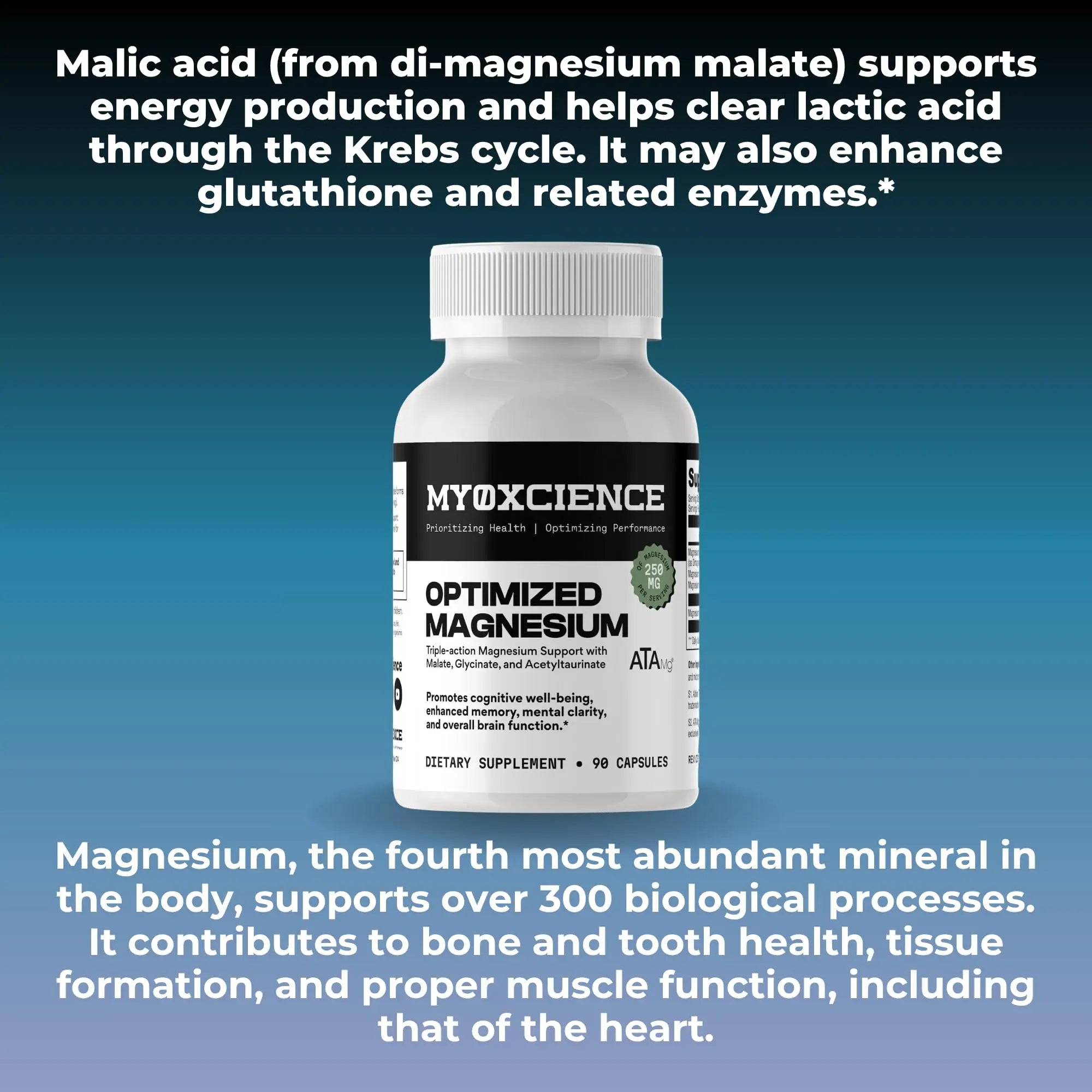 MYOXCIENCE Optimized Magnesium Glycinate + Magnesium Taurate (as ATAmag®) for High Brain Bioavailability to Support Stress Relief and Sleep | 30 Servings MYOXCIENCE Au supplements