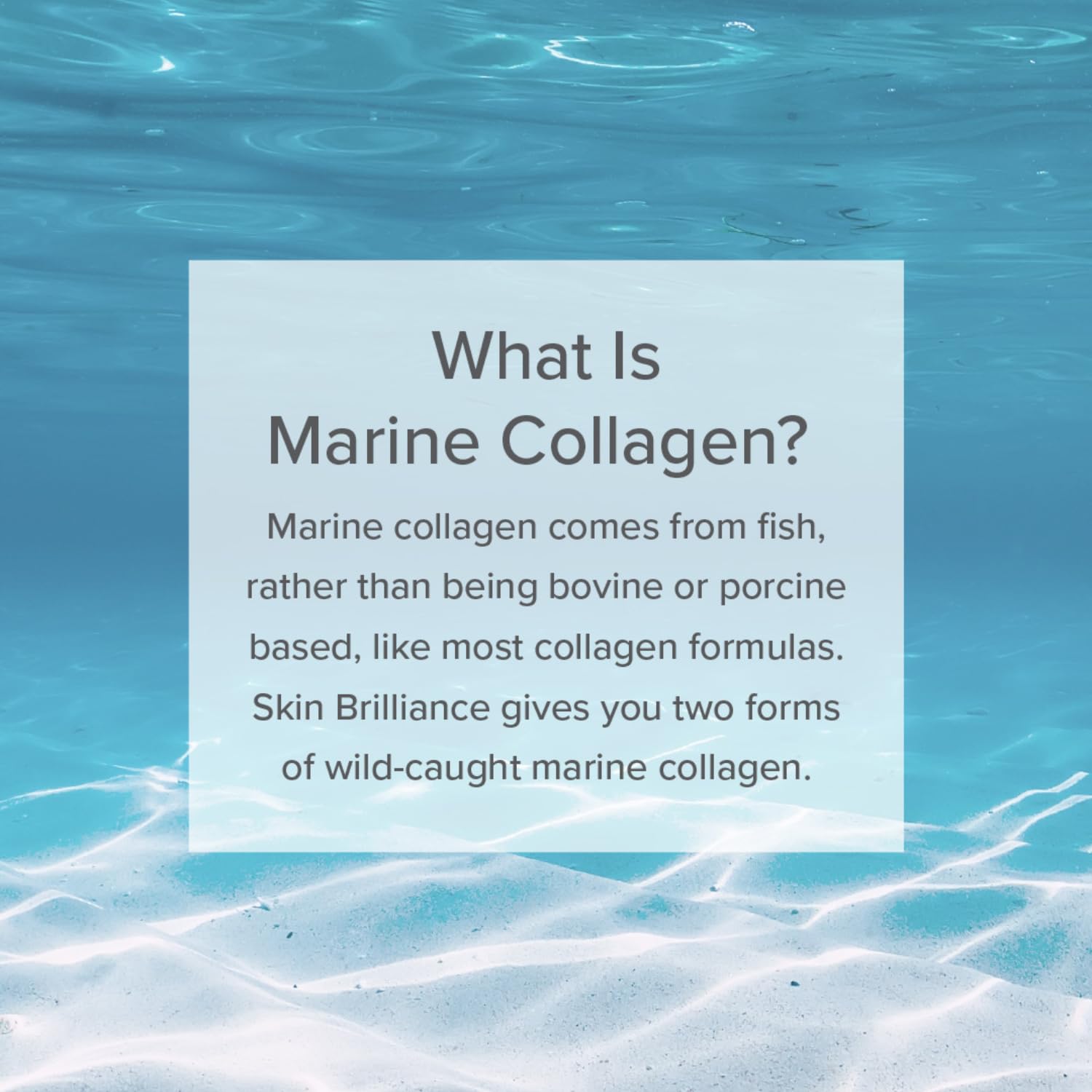 Serovital Skin Brilliance Marine Collagen – Hydrolyzed Marine Collagen Peptides Serovital Au supplements