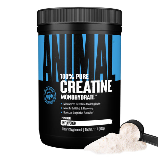 Animal Creatine Monohydrate Powder - Micronized Creatine for Women and Men, Supports Muscle Growth, Strength, Endurance, Recovery and ATP Production, AnimalUS supplements