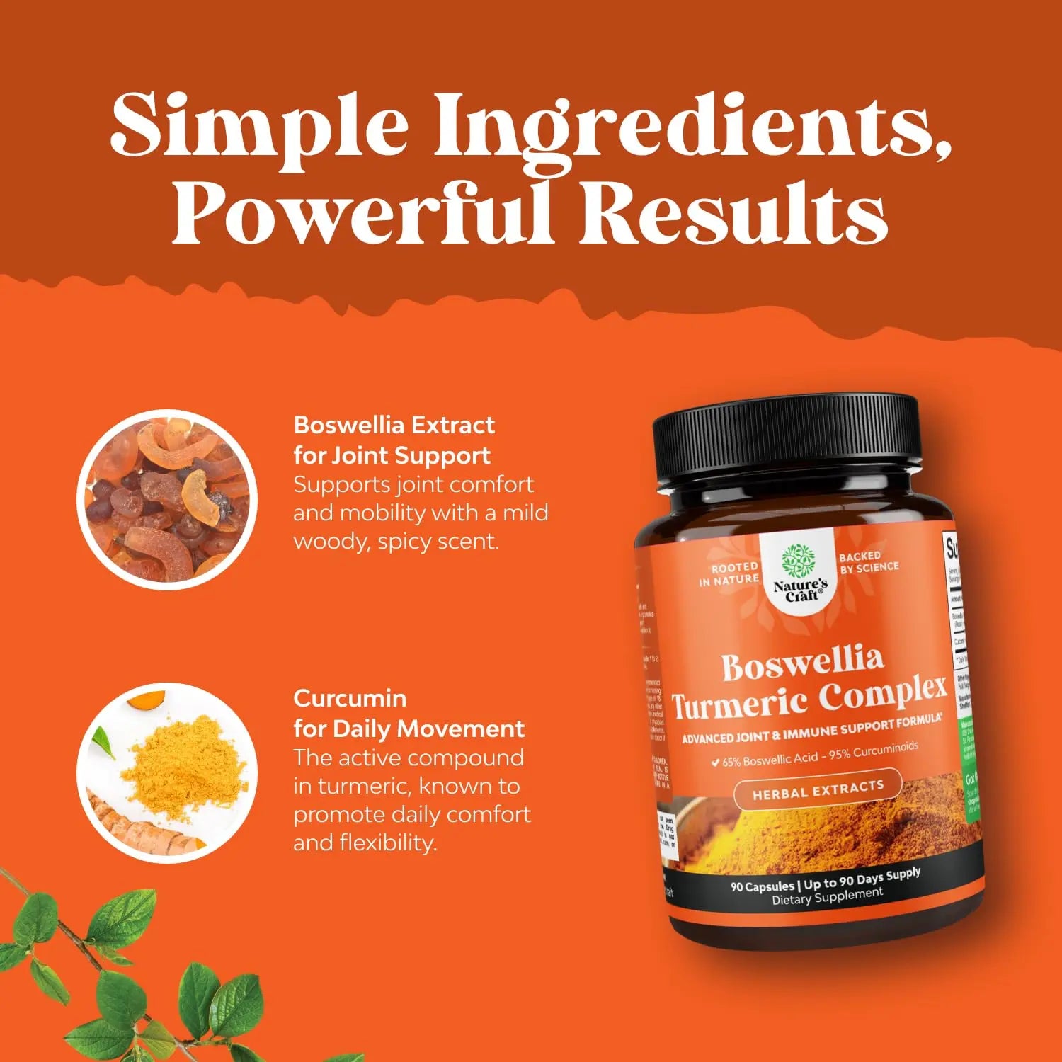 Boswellia Extract Capsules with Turmeric - Advanced Immune Health Support Supplement - Turmeric & Boswellia Serrata Capsules 500mg per Serving for Body Detox & Healthy Joints - 90 Count Natures Craft Au supplements