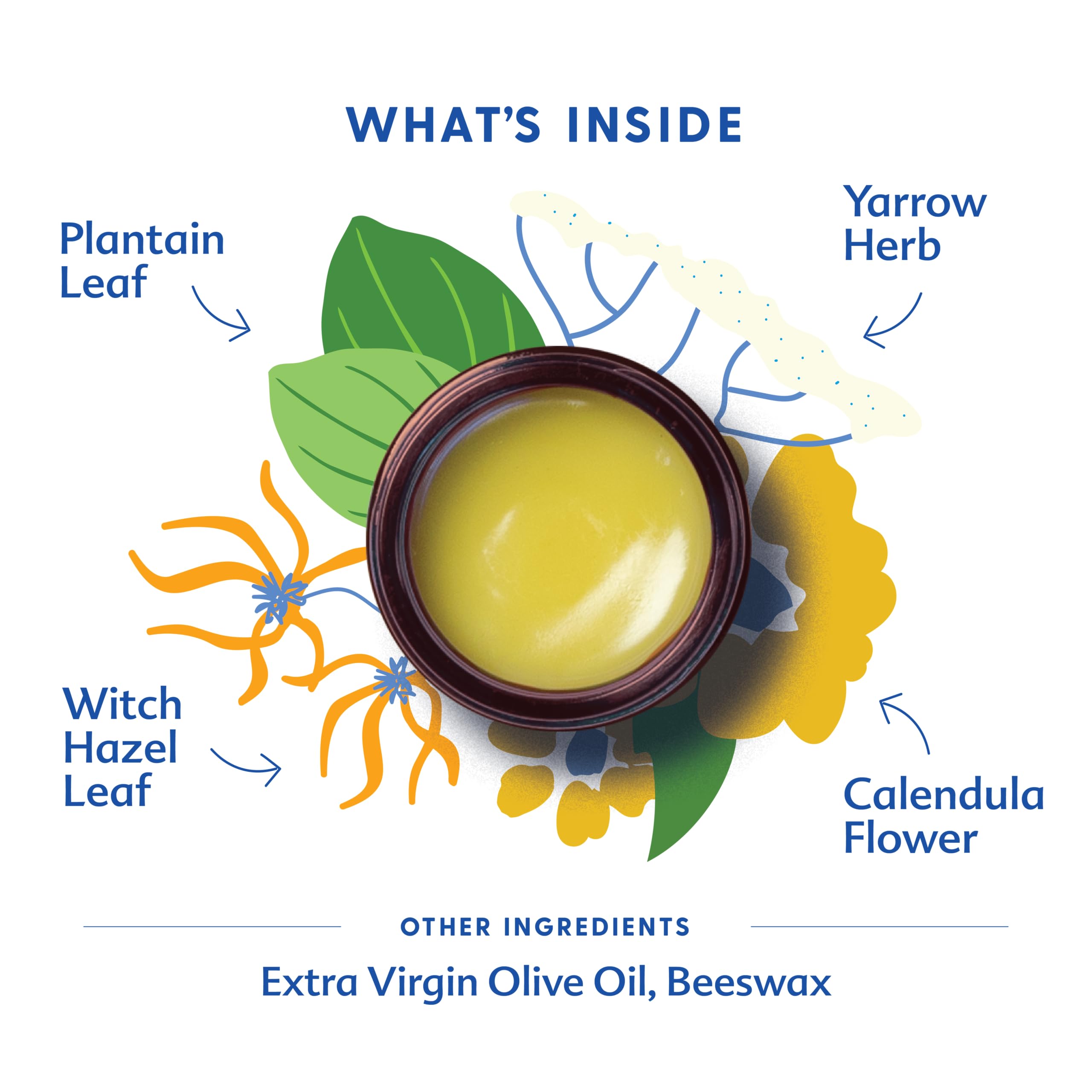 Motherlove Mom's Bottom Balm (1 oz) Organic Herbal Salve w/Witch Hazel for Bottoms During Pregnancy & Postpartum —Non-GMO Ointment Motherlove Au supplements