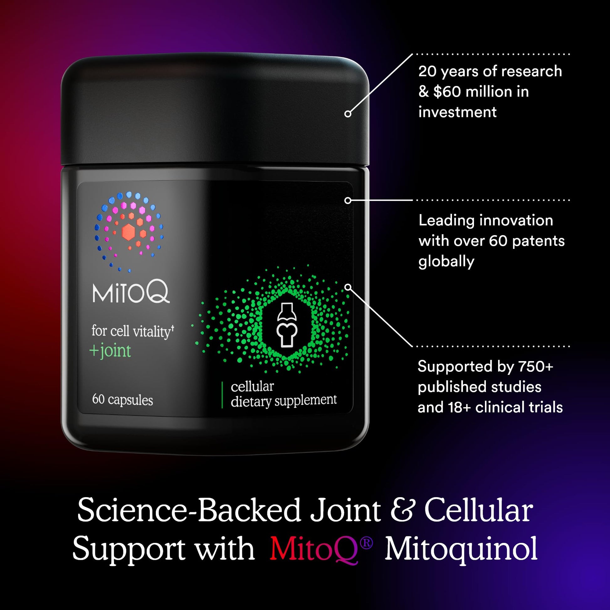 MitoQ +Joint Advanced CoQ10 Antioxidant Supplement - Contains Mitoquinol Mesylate & Green Lipped Mussel Omega Oil Extract - Supports Healthy Joint, Mobility and Cell Vitality (60 Softgel Capsules) MitoQ Au supplements