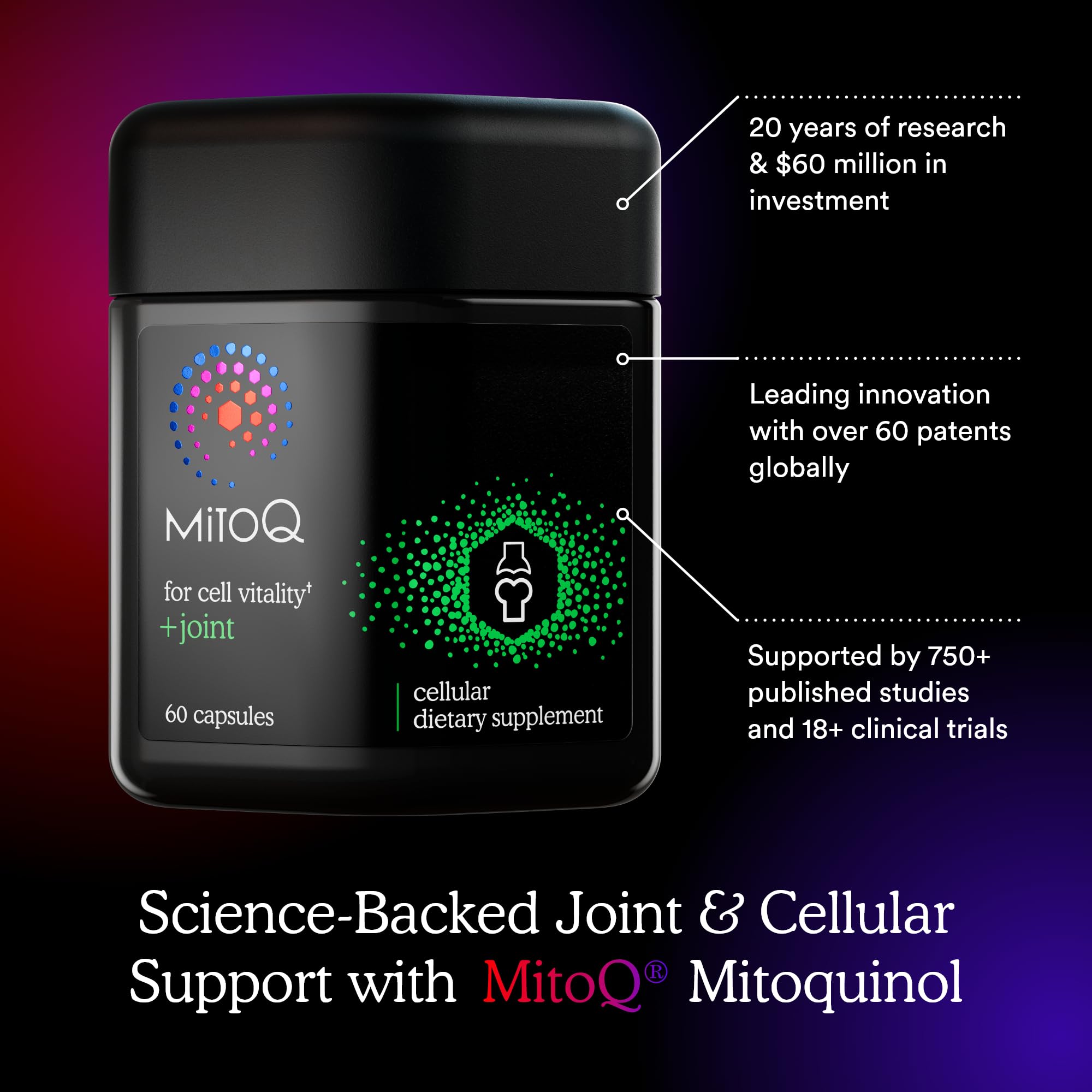 MitoQ +Joint Advanced CoQ10 Antioxidant Supplement - Contains Mitoquinol Mesylate & Green Lipped Mussel Omega Oil Extract - Supports Healthy Joint, Mobility and Cell Vitality (60 Softgel Capsules) MitoQ Au supplements