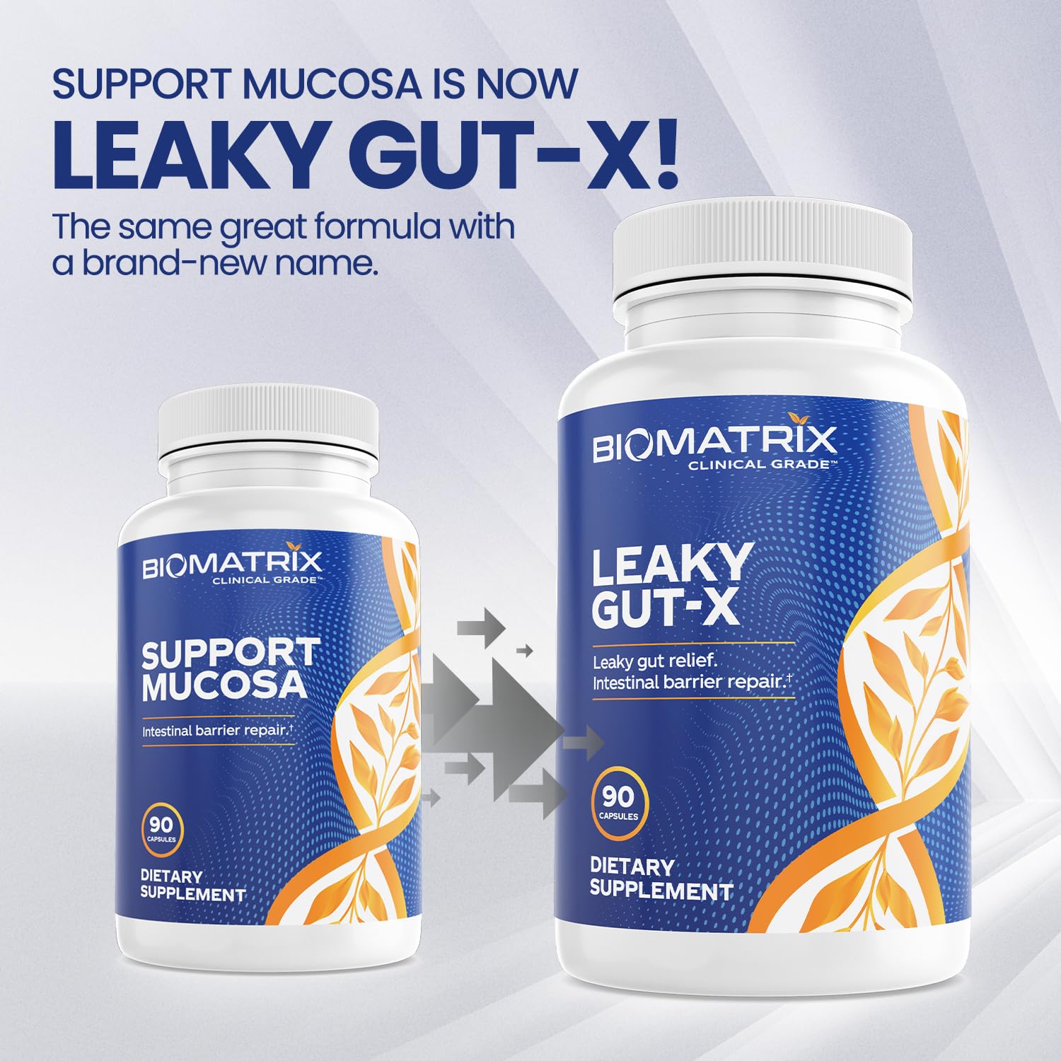 BioMatrix Leaky Gut Repair Supplement w/Glutamine, Quercetin, Cat's Claw, MSM, SIBO, Prebiotic Support, Intestinal Barrier Revive for Men and Women | 60-Day Supply – Leaky Gut-X BioMatrix Au supplements