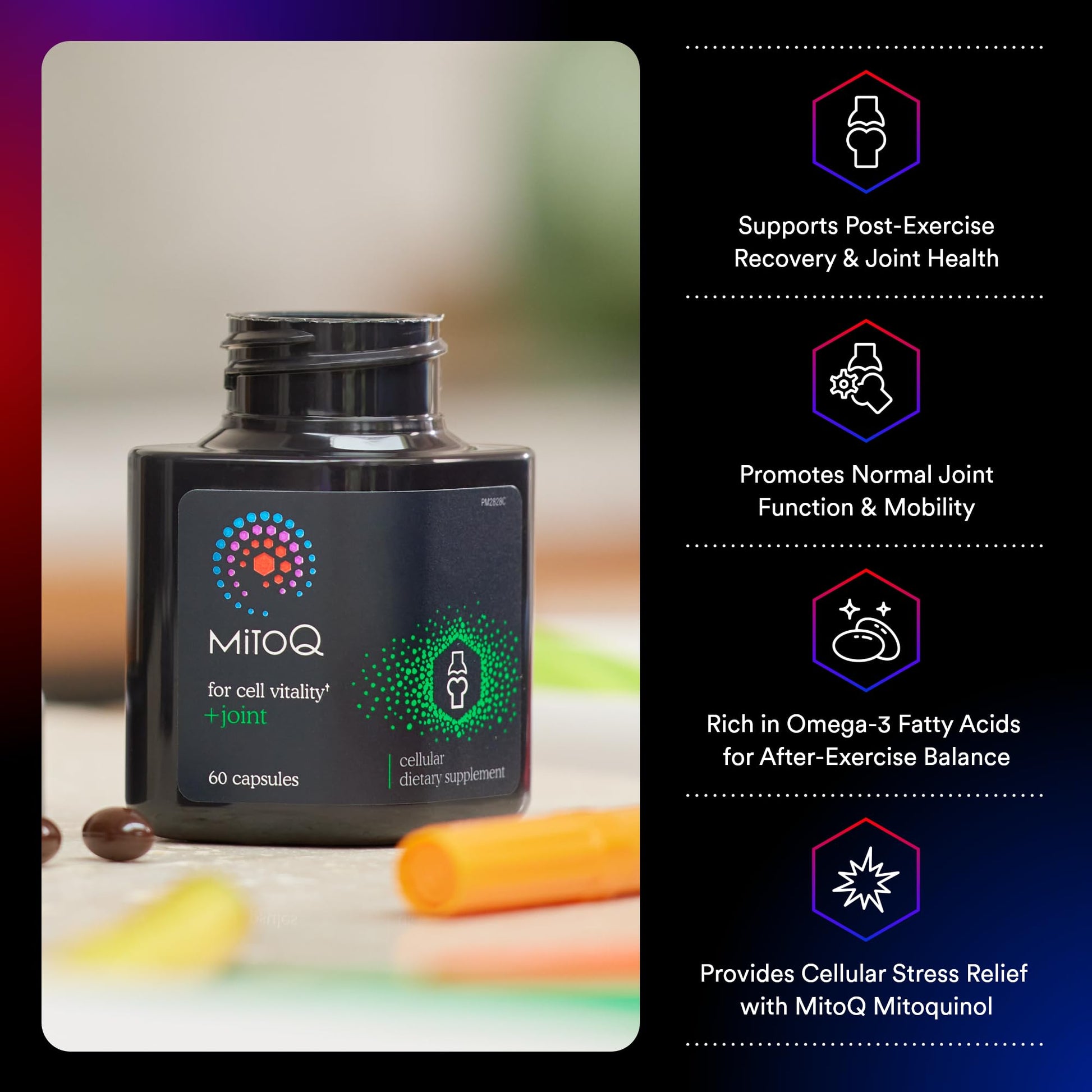 MitoQ +Joint Advanced CoQ10 Antioxidant Supplement - Contains Mitoquinol Mesylate & Green Lipped Mussel Omega Oil Extract - Supports Healthy Joint, Mobility and Cell Vitality (60 Softgel Capsules) MitoQ Au supplements