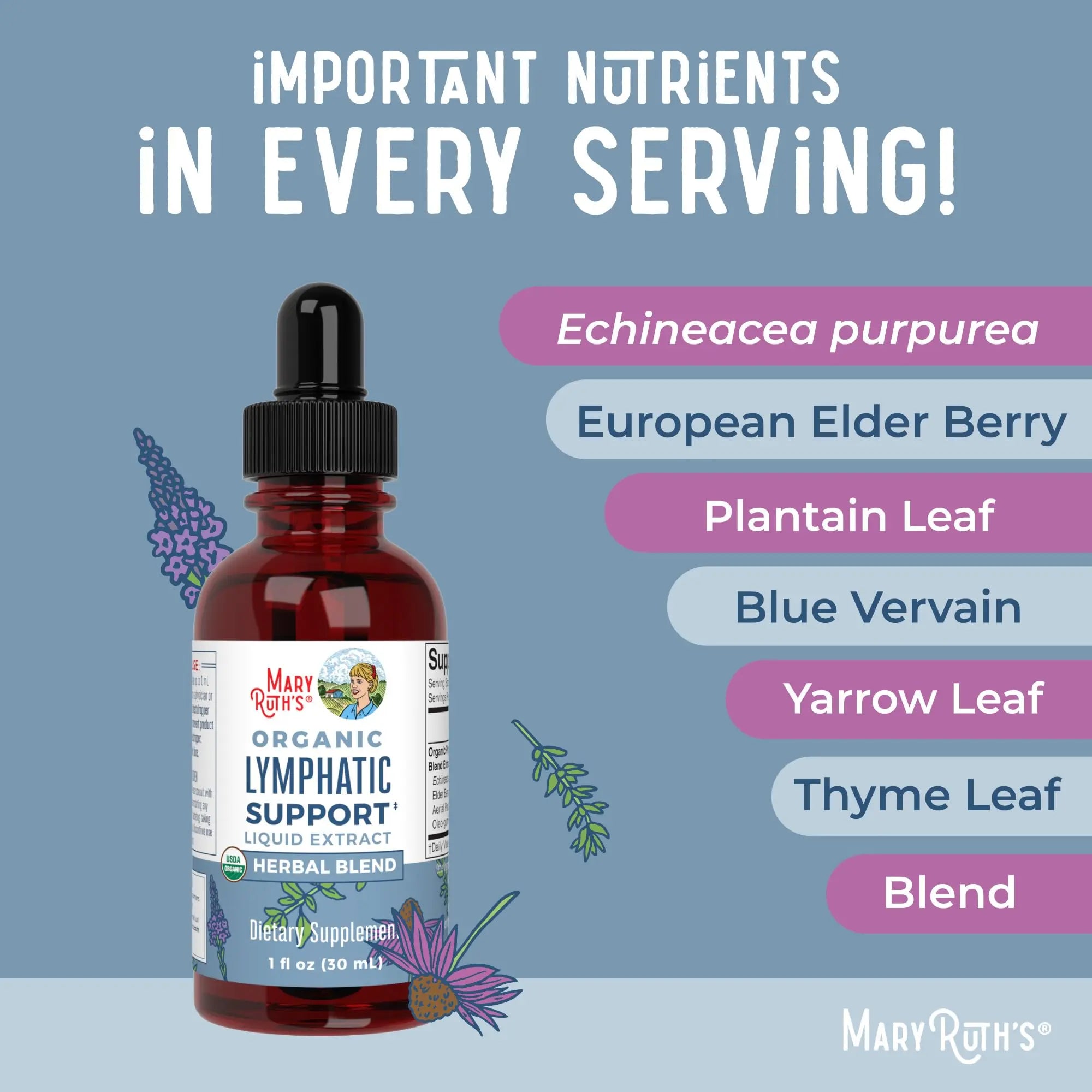 Lymphatic Support Drops by MaryRuth's | USDA Organic Lymphatic Cleanse Immune Support Supplement| Lymphatic Support with Echinacea & Elderberry | Blue Vervain | Vegan | Non-GMO | 30 Servings MARYRUTH'S Au supplements