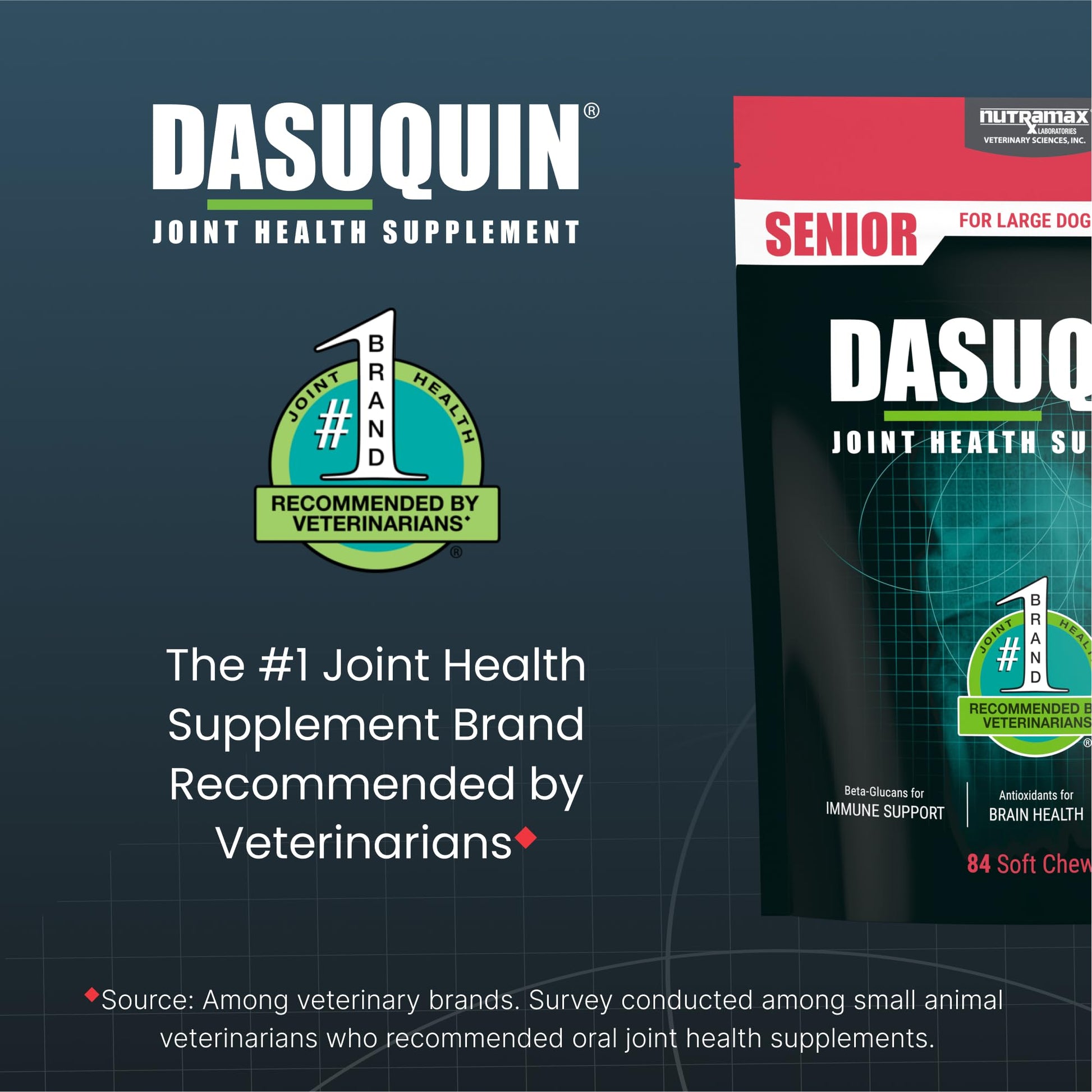 Nutramax Dasuquin Joint Health Supplement for Large Senior Dogs – for Immune Support, Skin & Coat Health, and Brain Health, 84 Soft Chews Nutramax Laboratories Au supplements