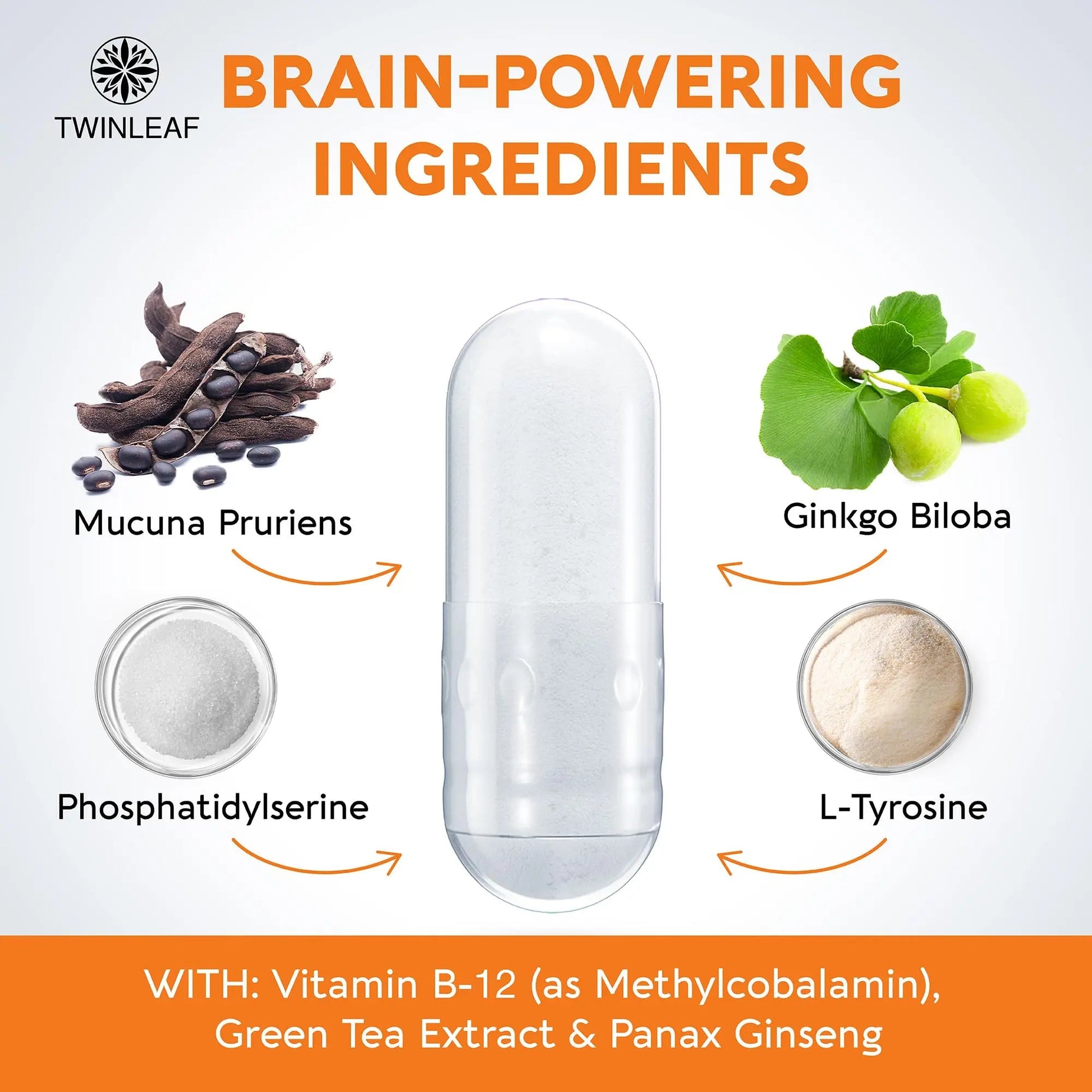 TWINLEAF Dopamine Brain Support Supplement, 1000 mg Blend - Made in USA - with DMAE, Vitamin B12 and L-Tyrosine TWINLEAF Au supplements