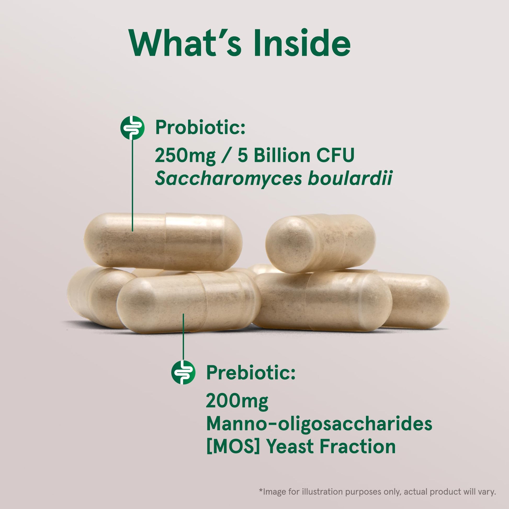 Jarrow Formulas Saccharomyces Boulardii + MOS Probiotics for Digestive Health and Intestinal Tract Support - 5 Billion CFU Per Serving - 90 Delayed Release Caps - Probiotic + Prebiotic - 90 Servings Jarrow Formulas Au supplements