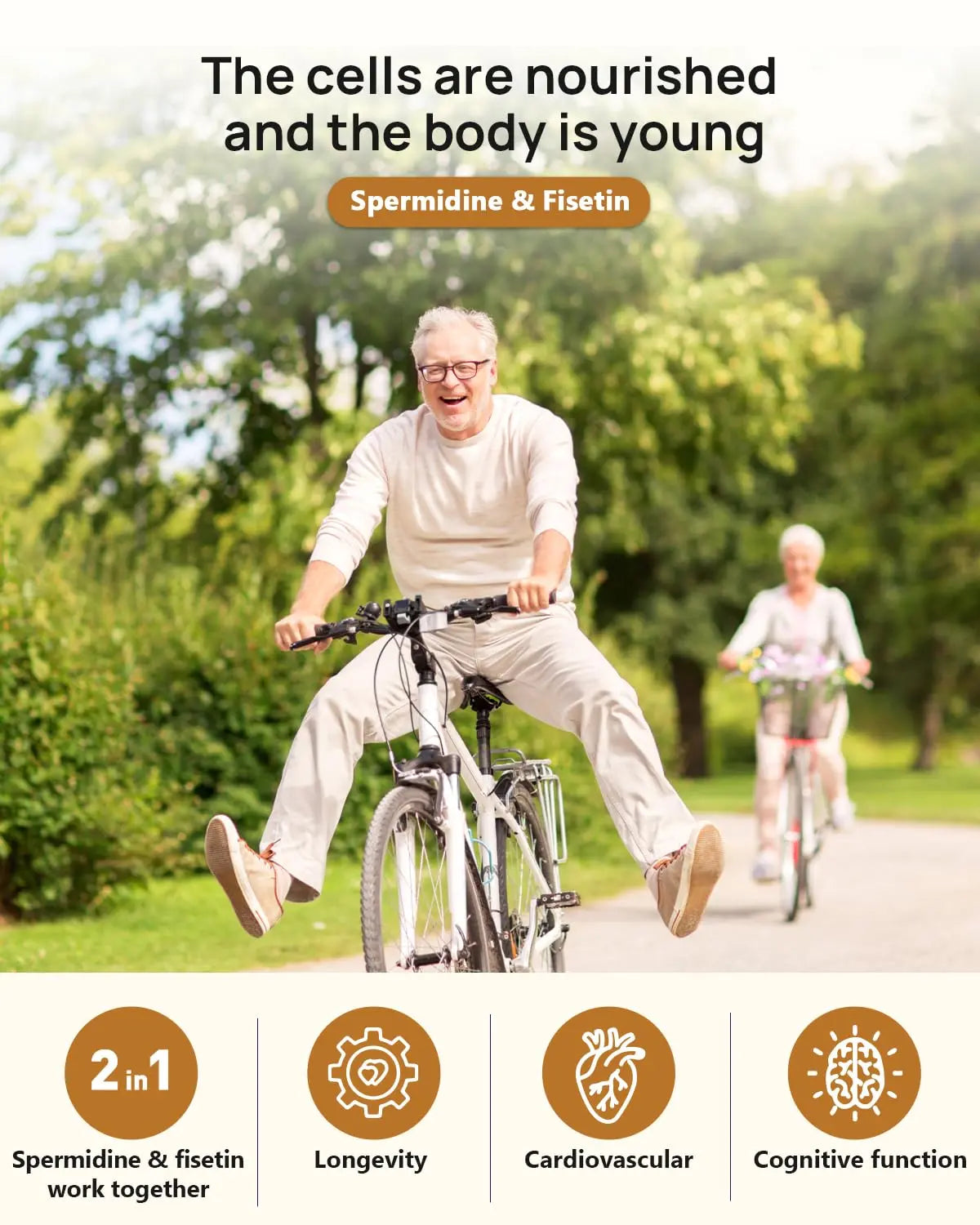 Spermidine 20mg + Fisetin 300mg + Akkermansia for Women丨Cellular Renewal, Metabolic & Gut Health Anven Health Au supplements