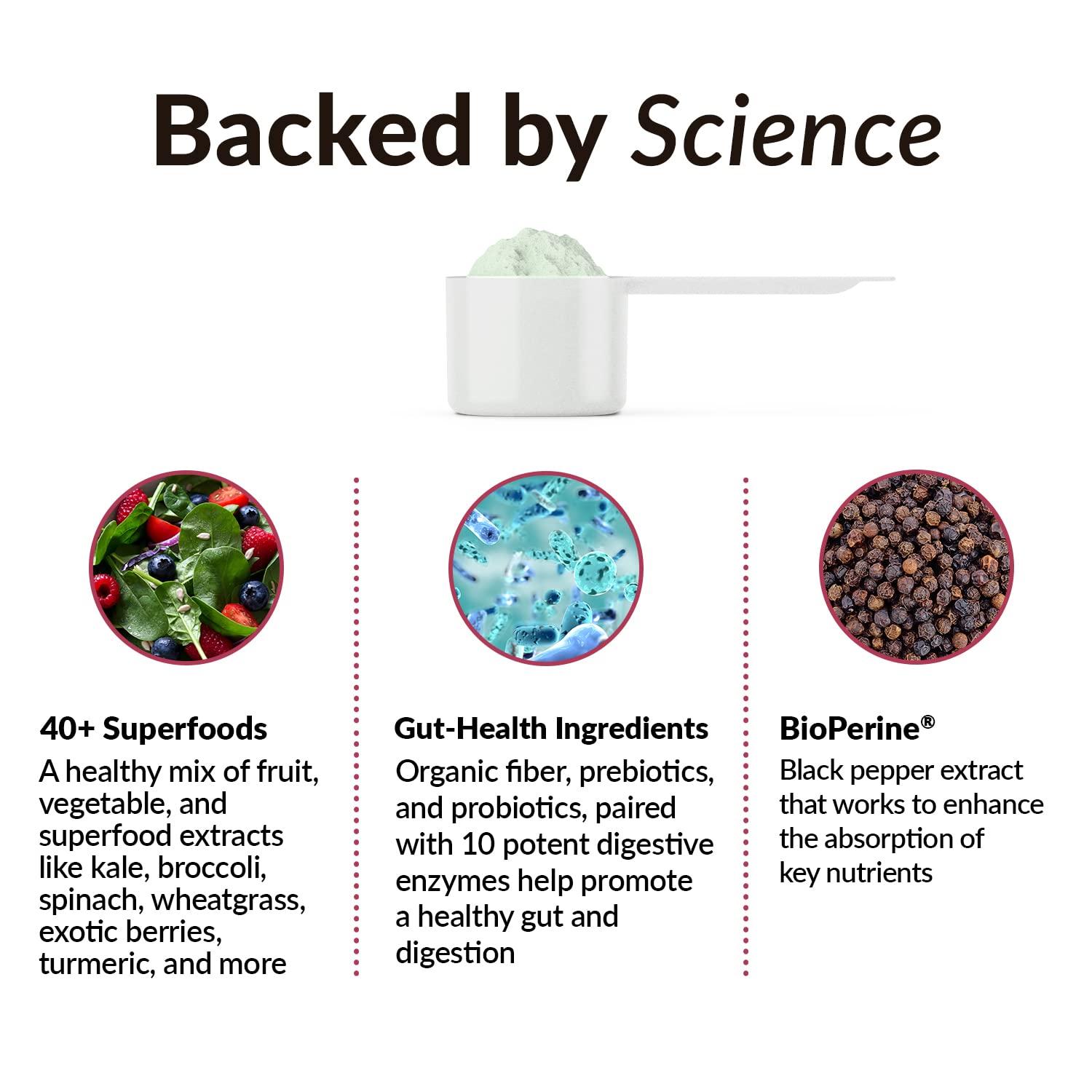 FORCE FACTOR Smarter Greens Daily Wellness Powder to Support Energy, Immunity & Digestion Force Factor Au supplements