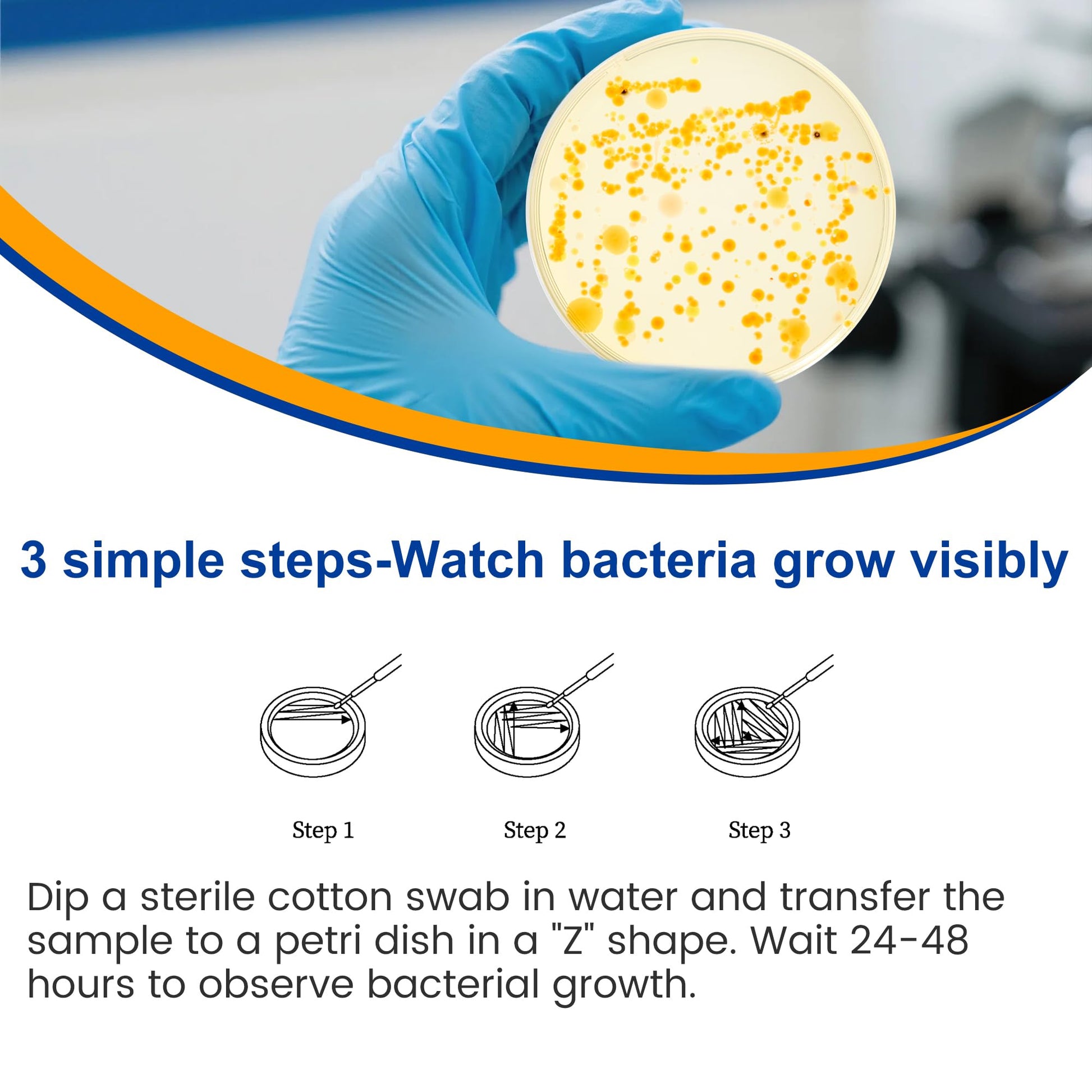 Bacteria Test Kits for Drinking Water - 12 Tests Detect Coliform, E.coli & All Bacteria | Home Quality Testing Kit for Well, Tap, Pool, Hot Tub & City Water | Easy DIY Tester with Free Lab Analysis Funhaostar Au supplements