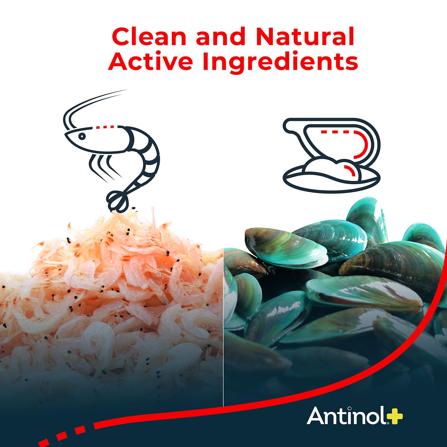 Antinol Plus, Mobility, Hip, and Joint Supplement for Dogs, Green-Lipped Mussels and Krill Oil - Dog Joint Supplement, Better and Faster Than Glucosamine and Chondroitin, 120 Soft Gels Antinol Au supplements