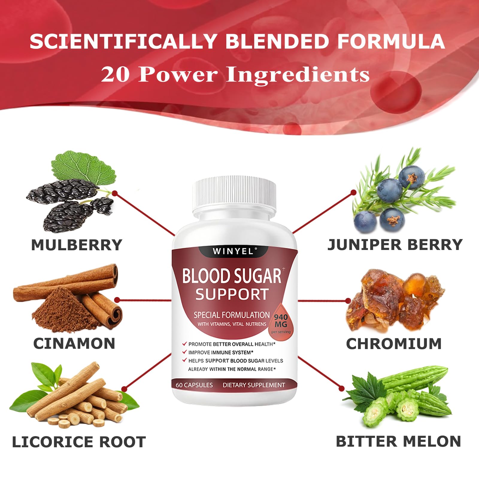 WINYEL Blood Sugar Complex Supplement - with Cinnamon, Bitter Melon, Chromium, Mulberry, Alpha Lipoic Acid, 60 Capsules WINYEL Au supplements