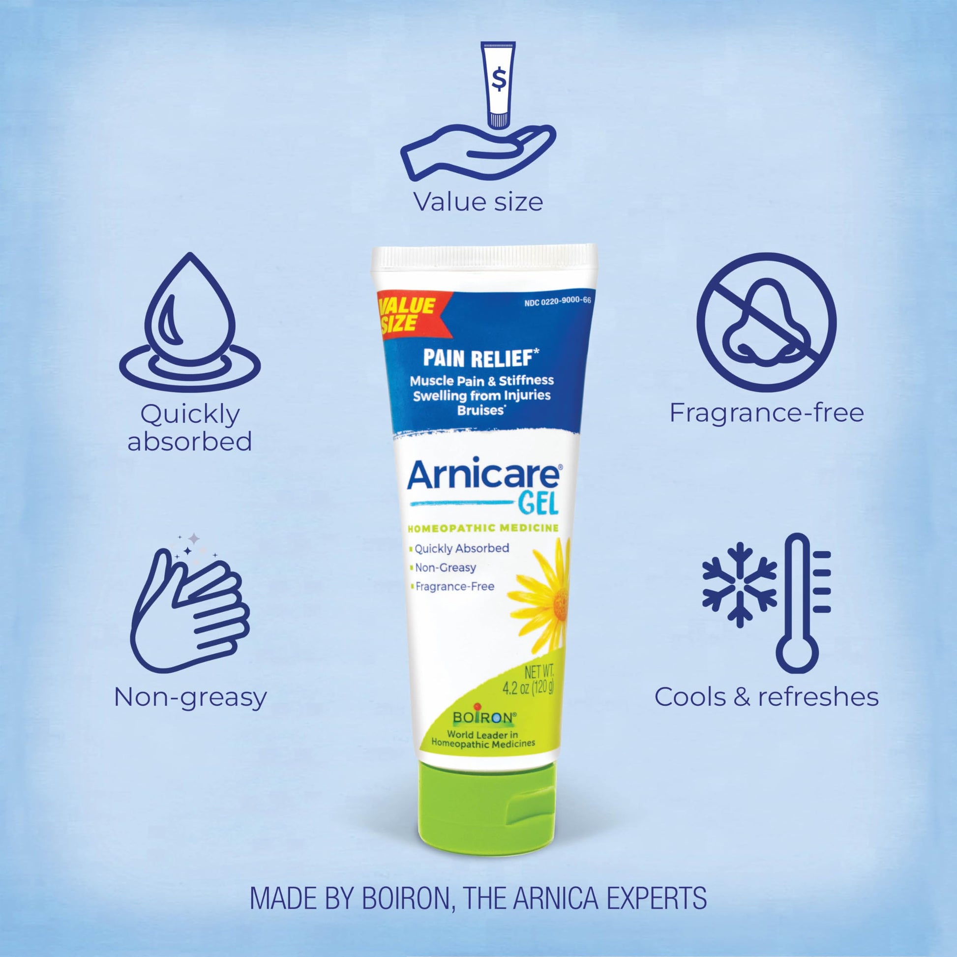 Boiron Arnicare Gel 4.2 oz (Twin Pack) for Joint Pain Relief, Muscle Pain, Muscle Soreness, and Swelling from Bruises or Injury - Non-Greasy and Fragrance-Free Arnica Boiron Au supplements