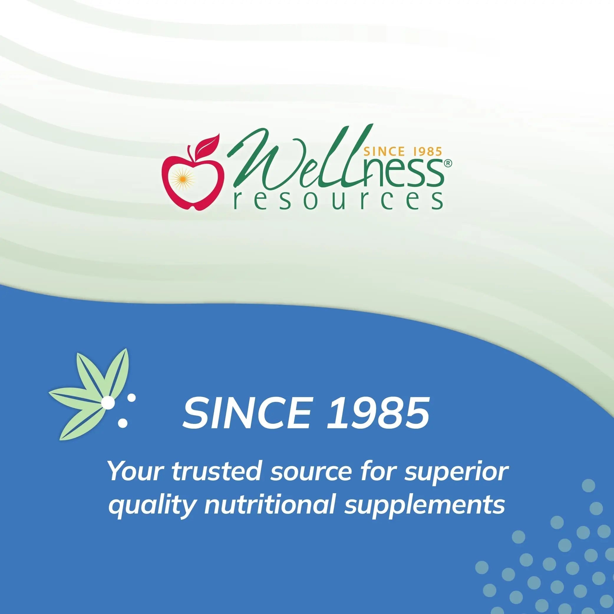 Super Mini-Multi - Children's Multivitamin Swallowable Capsules with Methyl Folate, Methyl B12 and Coenzyme B Vitamins Wellness Resources Au supplements