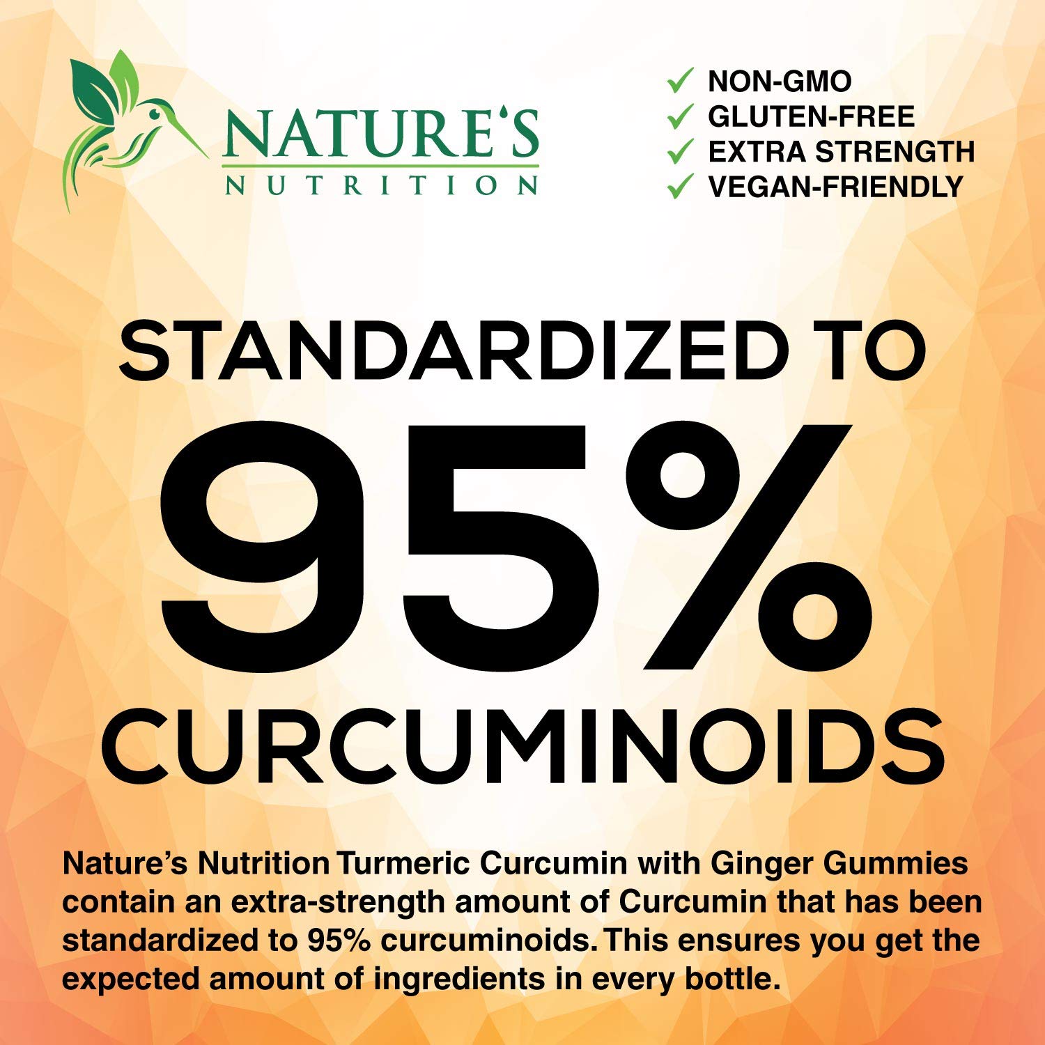 Turmeric Ginger Gummies - Vegan Turmeric Curcumin Gummy with 95% Curcuminoids Nature's Nutrition Au supplements