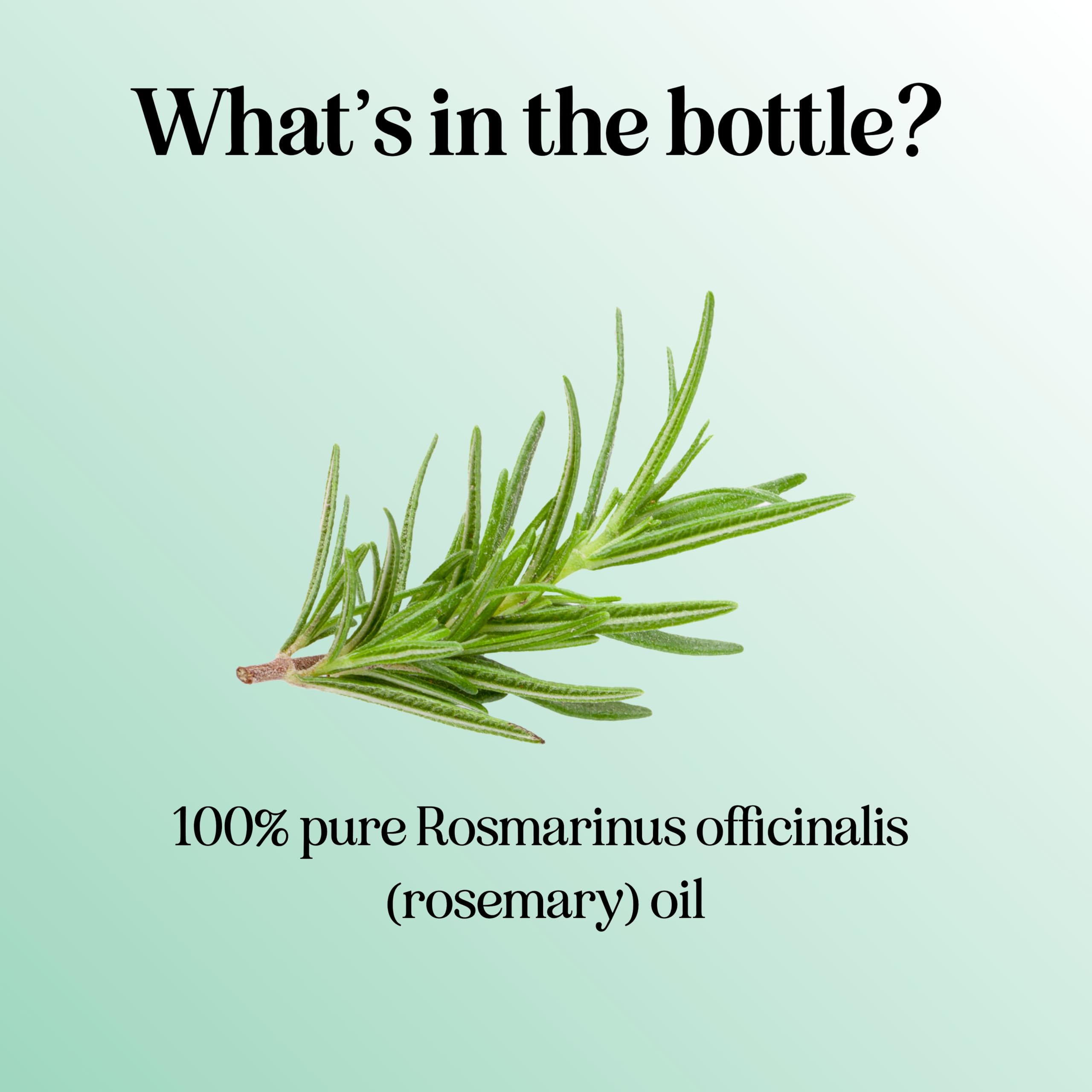 Pure Rosemary Essential Oil for Aromatherapy - Pure Rosemary Oil for Hair Skin and Nails Maple Holistics Au supplements