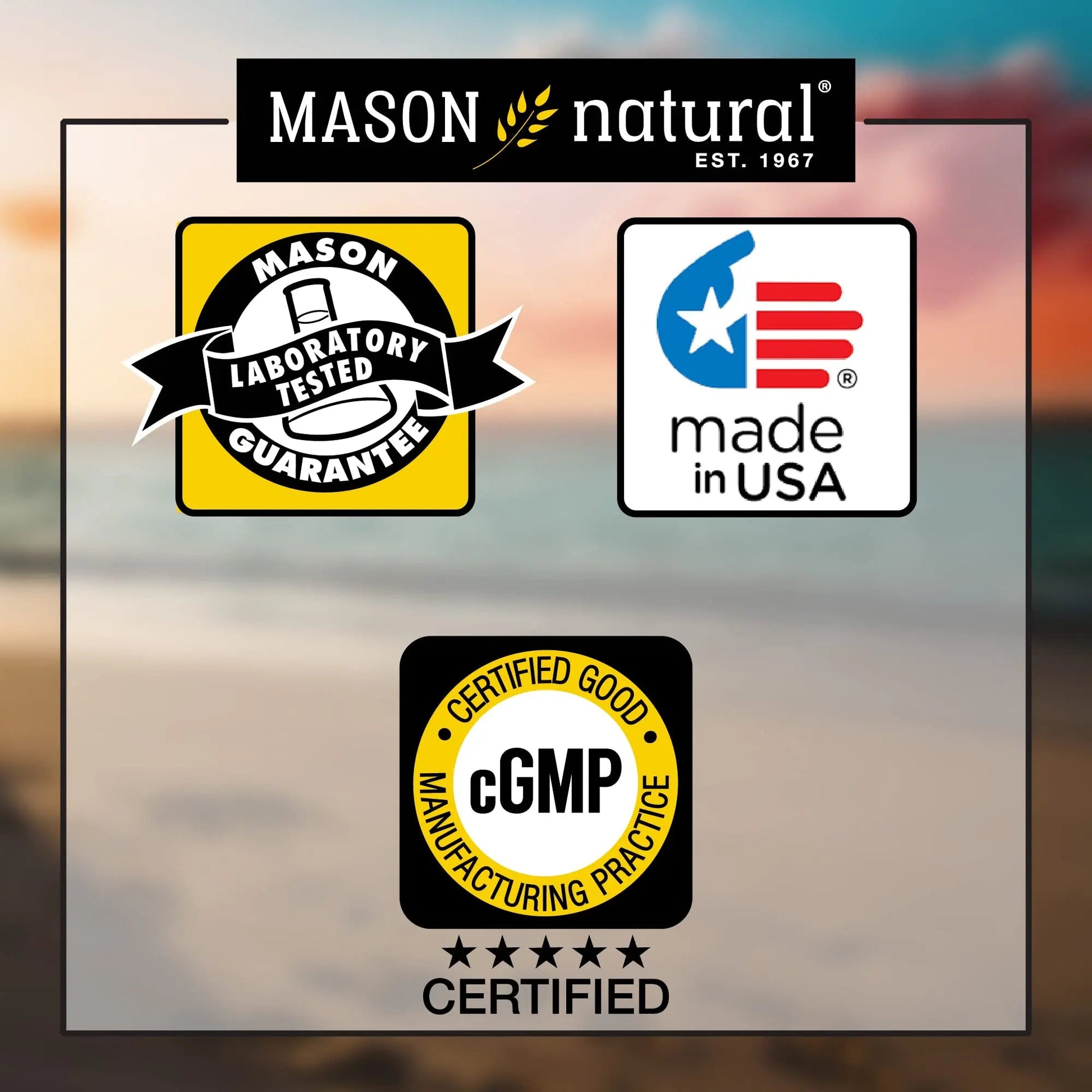 MASON NATURAL, Mens Daily Formula Equivalent to One a Day Mens Brand Tablets - 100 ea MASON NATURAL Au supplements