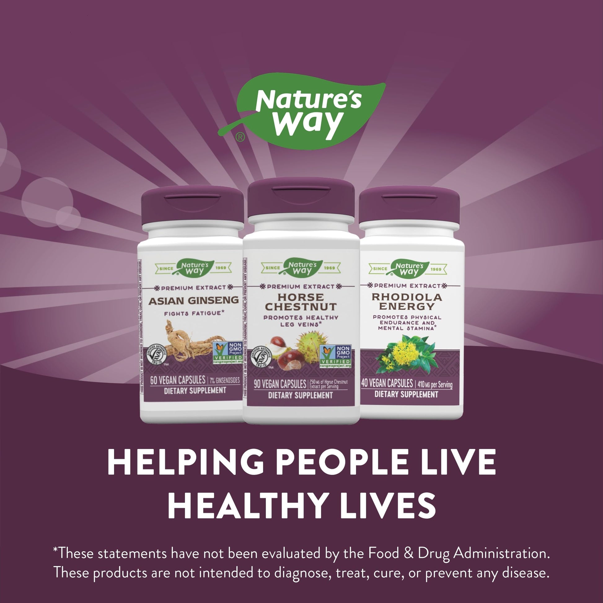 Nature's Way Standardized Horse Chestnut, Premium Extract for Healthy Veins and Blood Nature's Way Au supplements