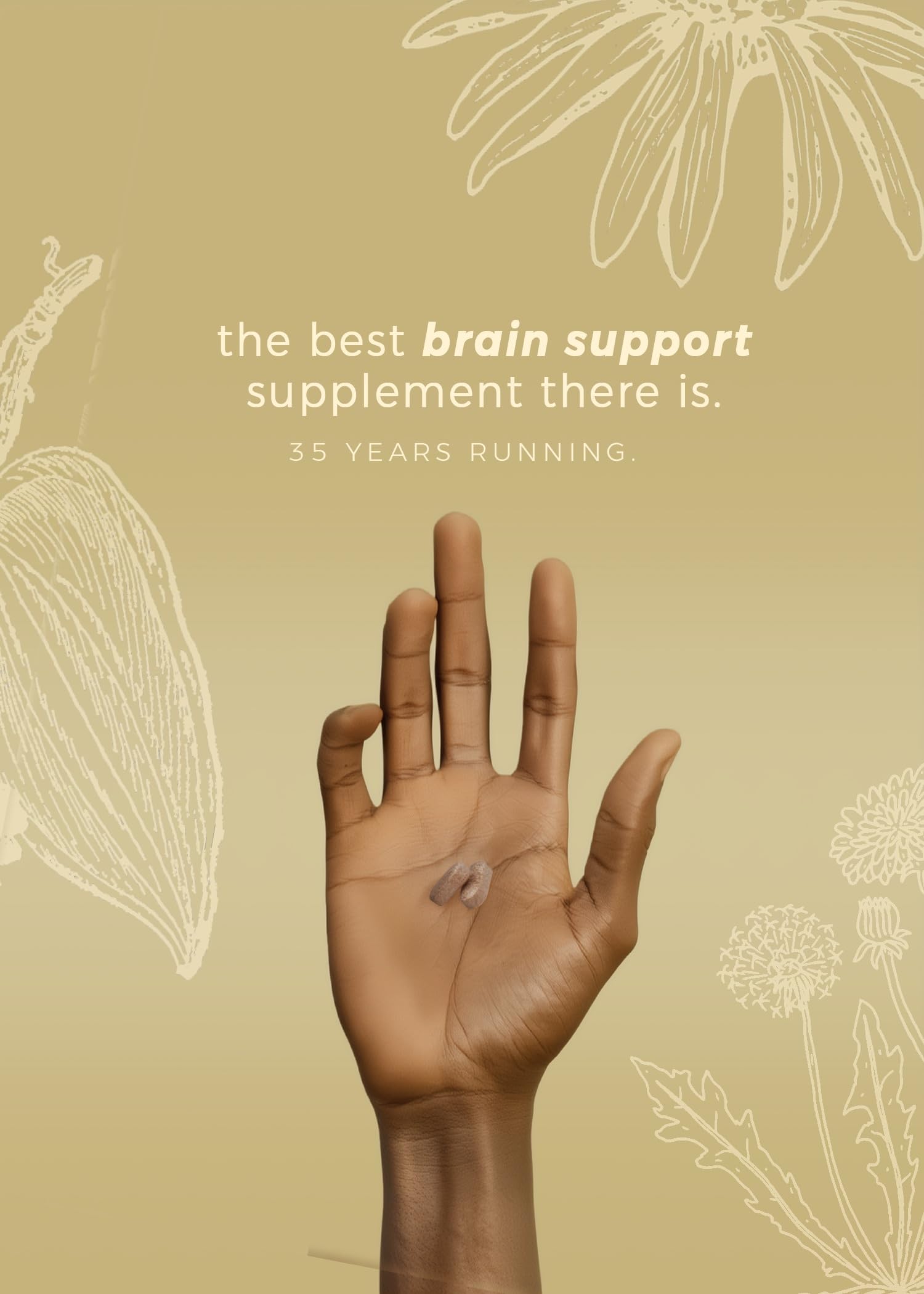 DiamondMIND Brain Support Supplement - Natural Formula for Mental Energy & Cognitive Function - Focus, Clarity, and Memory Supplement - Less Mental Stress - Vegan, Gluten-Free, Dairy-Free - (60 Count) Herpanacine Au supplements