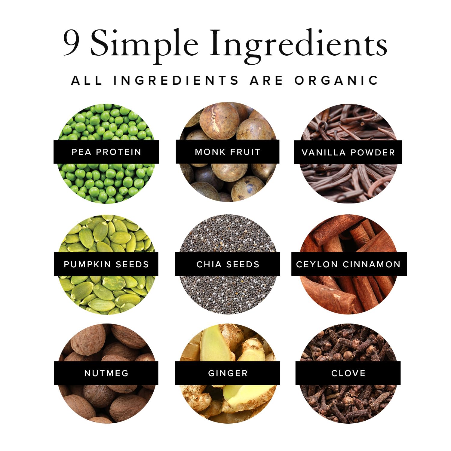Truvani Organic Vegan Protein Powder Pumpkin Spice - 20g of Plant Based Protein Truvani Au supplements