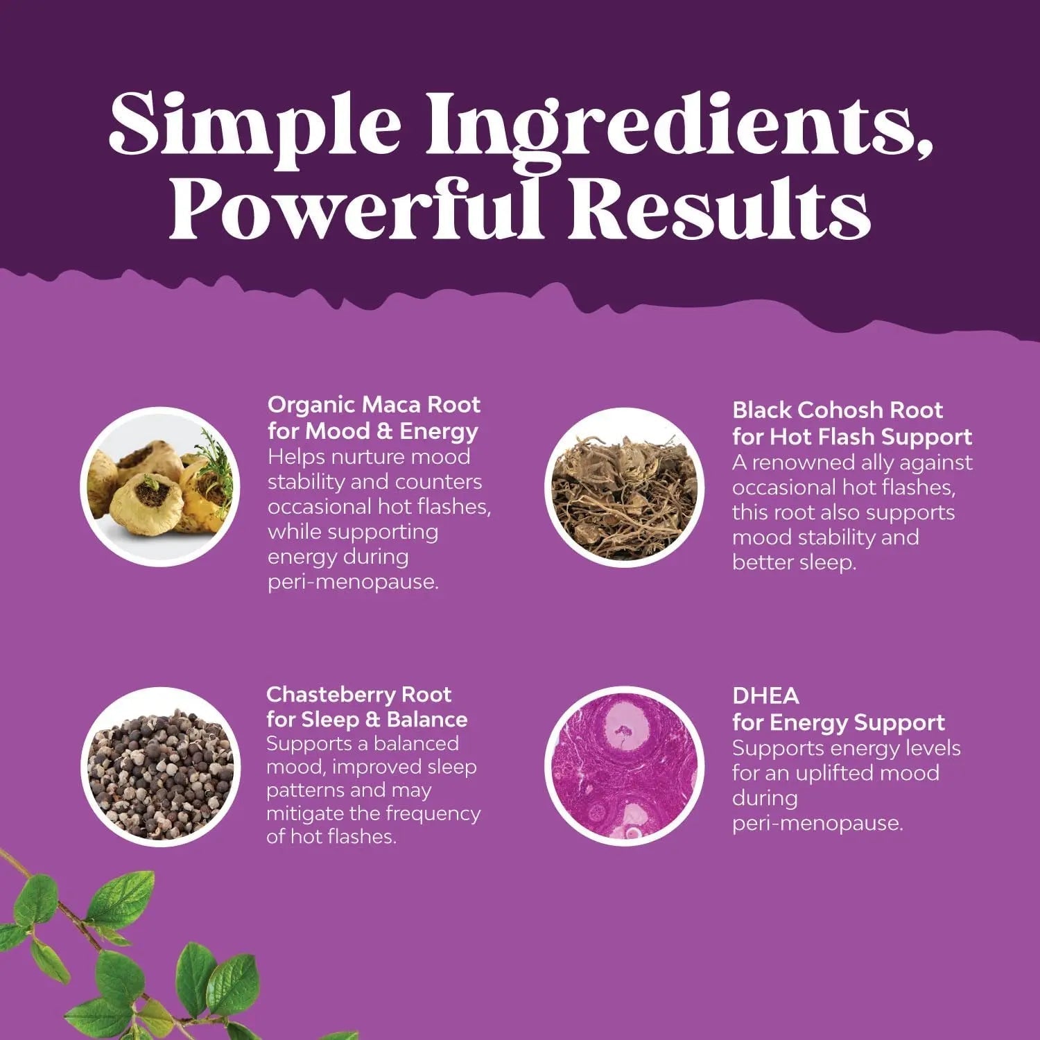 Bundle of Perimenopause Supplement with Maca Root Vitex Berry Black Cohosh for Hot Flashes Night Sweats Hormone Balance Natures Craft Au supplements