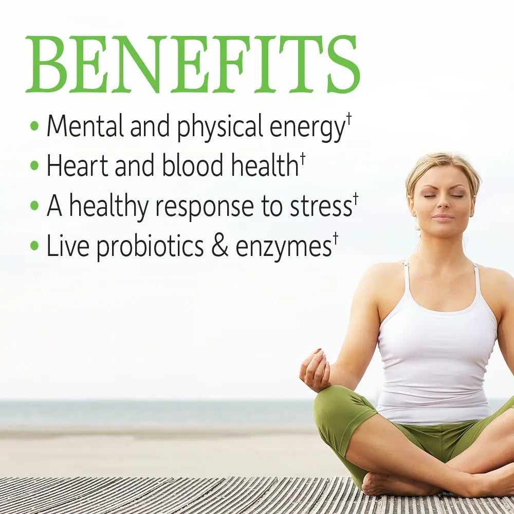 Garden of Life Vitamin B Complex, 120 Vegan Capsules, High Potency Vitamins for Energy & Metabolism with B6, Folate & B12 as Methylcobalamin Plus Probiotics Garden of Life Au supplements