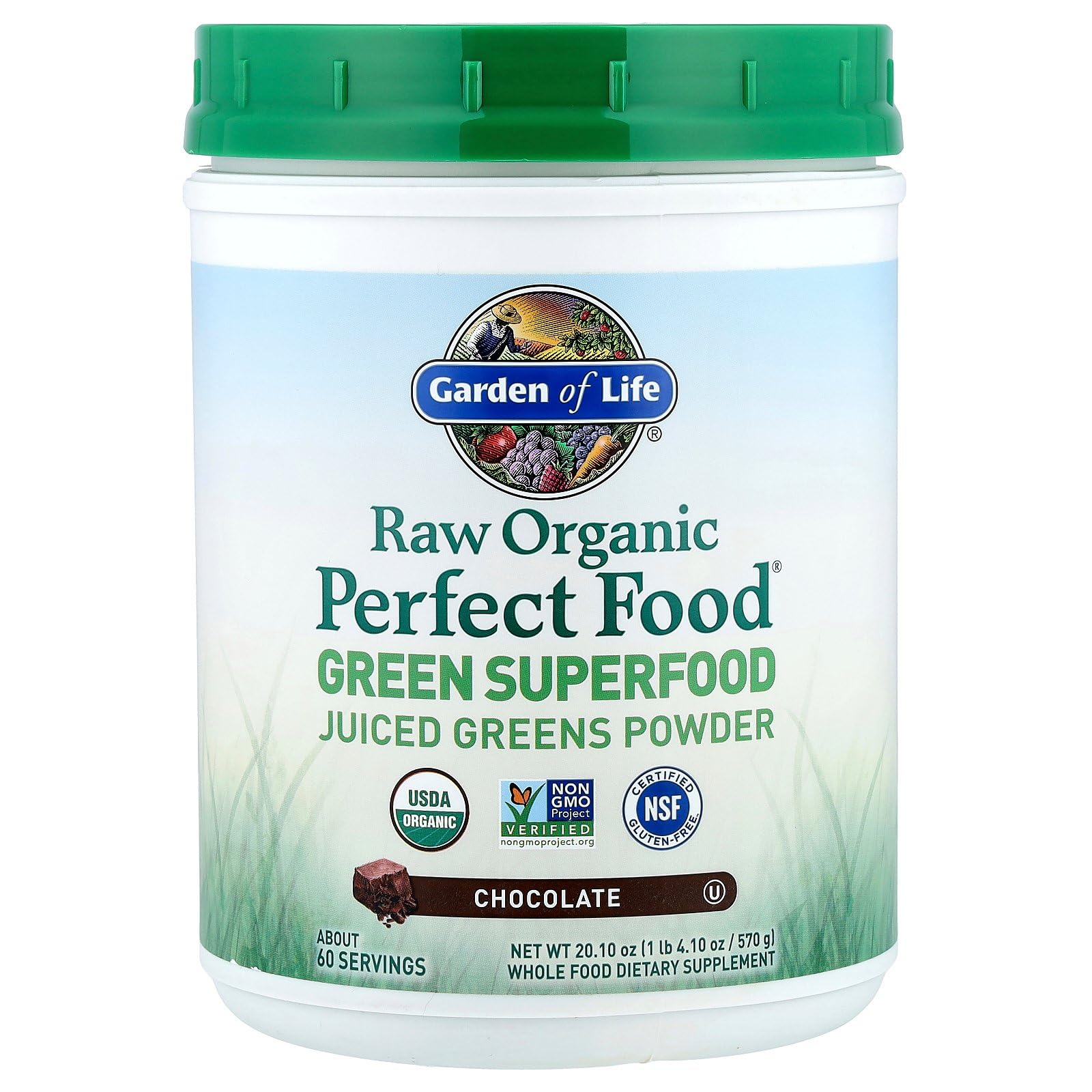 Garden of Life Raw Organic Perfect Food Green Superfood Juiced Greens Powder - Chocolate, 60 Servings, Non-GMO, Gluten Free, Vegan Whole Food Dietary Supplement Plus Probiotics, Enzymes Garden of Life Au supplements