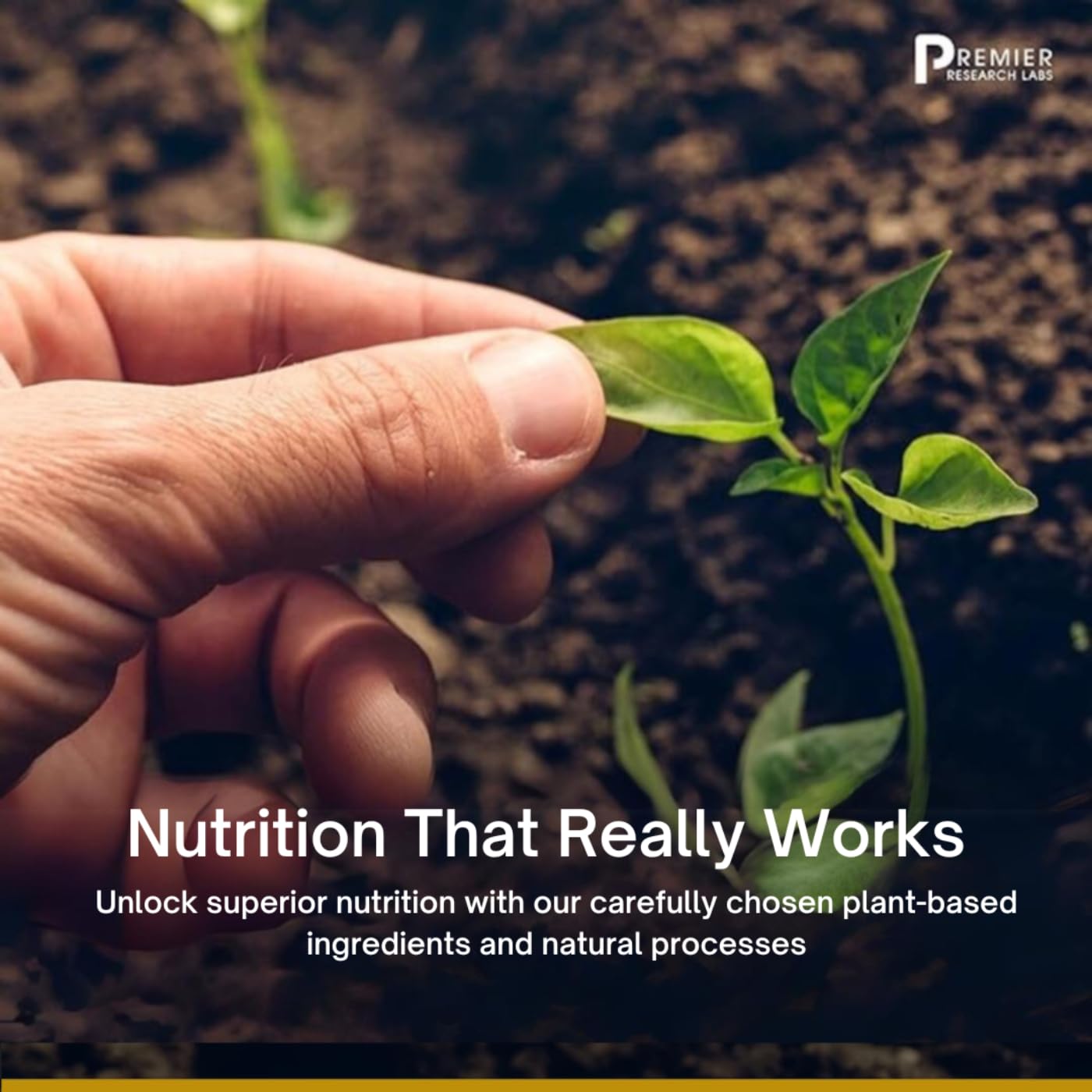 Premier Research Labs Premier HCL - Betaine HCL, Betaine Hydrochloride Supplement for Optimal Digestive Function, Nutrient Absorption, Betaine-HCL for Low Stomach Acid- 90 Vegetarian Capsules Premier Research Labs Au supplements