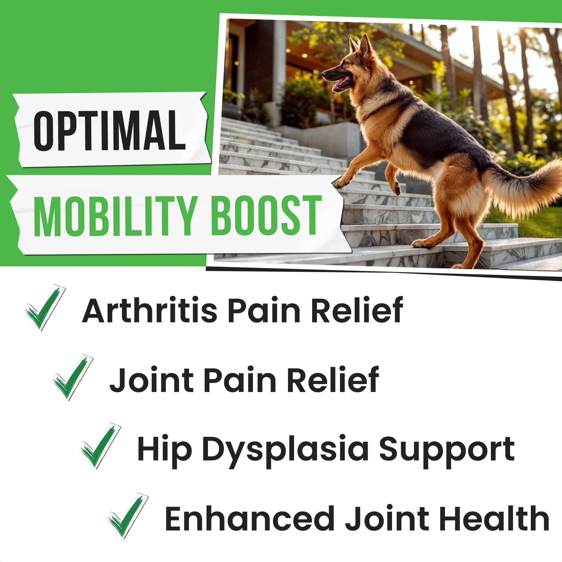 Pawsential Hemp Treats - Dog Joint Supplement - Mobility Support Chews w/Glucosamine Chondroitin, Turmeric, MSM - Hip & Joint Chews - Joint Pain Relief Treats - 120Ct Pawsential Au supplements