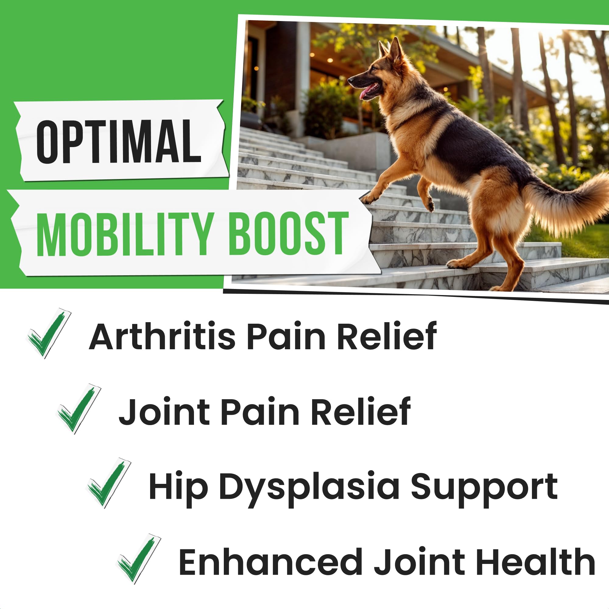 Pawsential Hemp Treats - Dog Joint Supplement - Mobility Support Chews w/Glucosamine Chondroitin, Turmeric, MSM - Hip & Joint Chews - Joint Pain Relief Treats - 120Ct Pawsential Au supplements