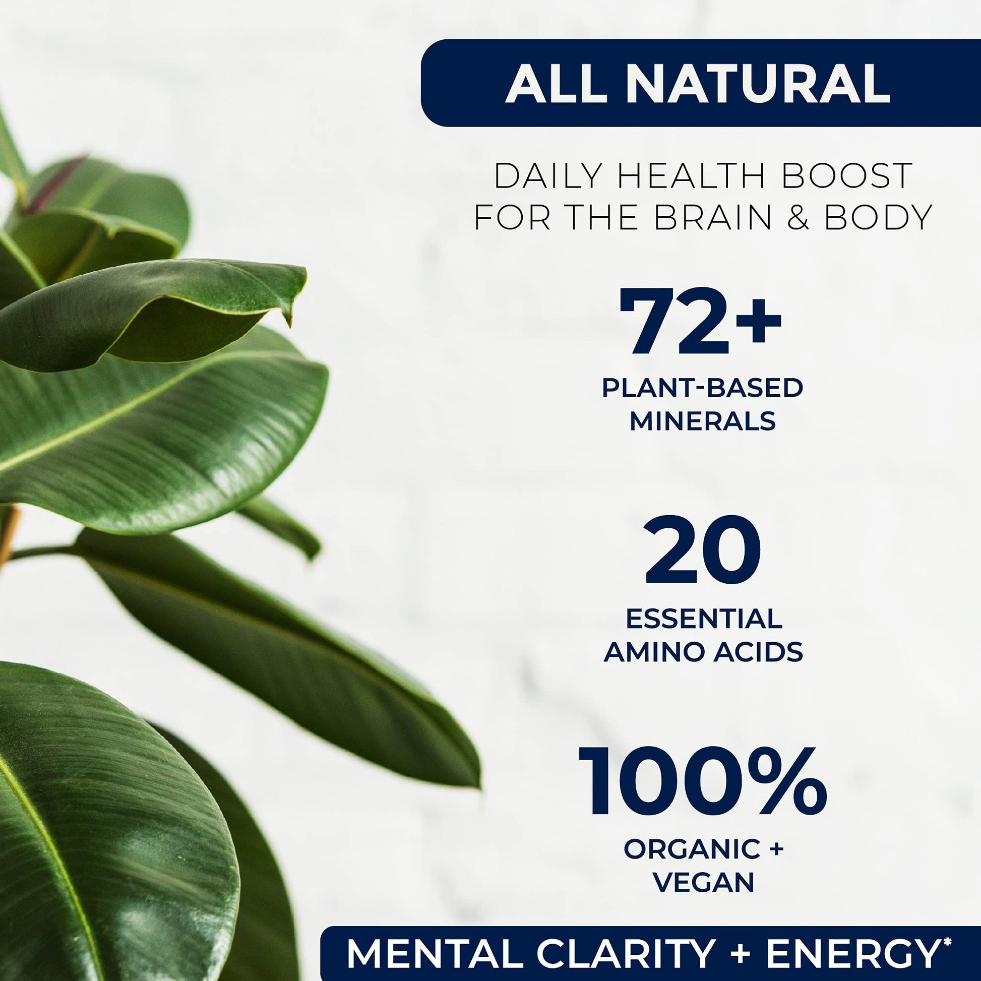 Miracles of Health Liquid Chelated Minerals - Organic Humic Fulvic Mineral Blend - 72+ Plant-Based Minerals, 20 Essential Amino Acids - 100% Natural - 1 Month Supply, 32 fl. oz Miracles of Health Au supplements
