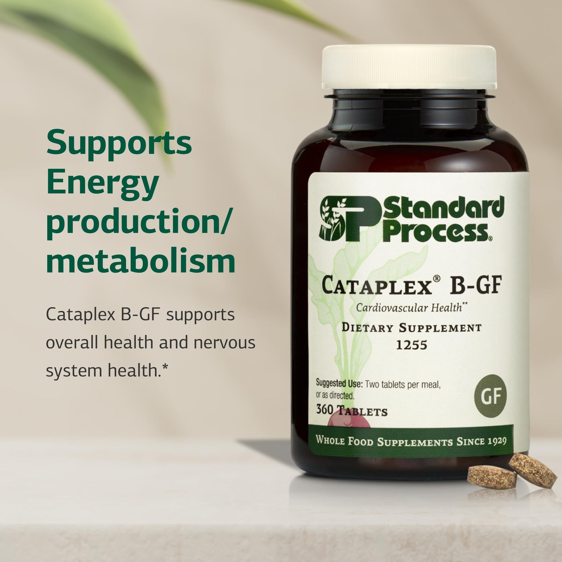 Standard Process Cataplex B-GF - Supports Nervous System Health - B Vitamins for Energy & Heart Support - Aids Energy During Physical Activity - Gluten-Free, Non-Soy & Non-Dairy - 360 Tablets Standard Process Inc. Au supplements