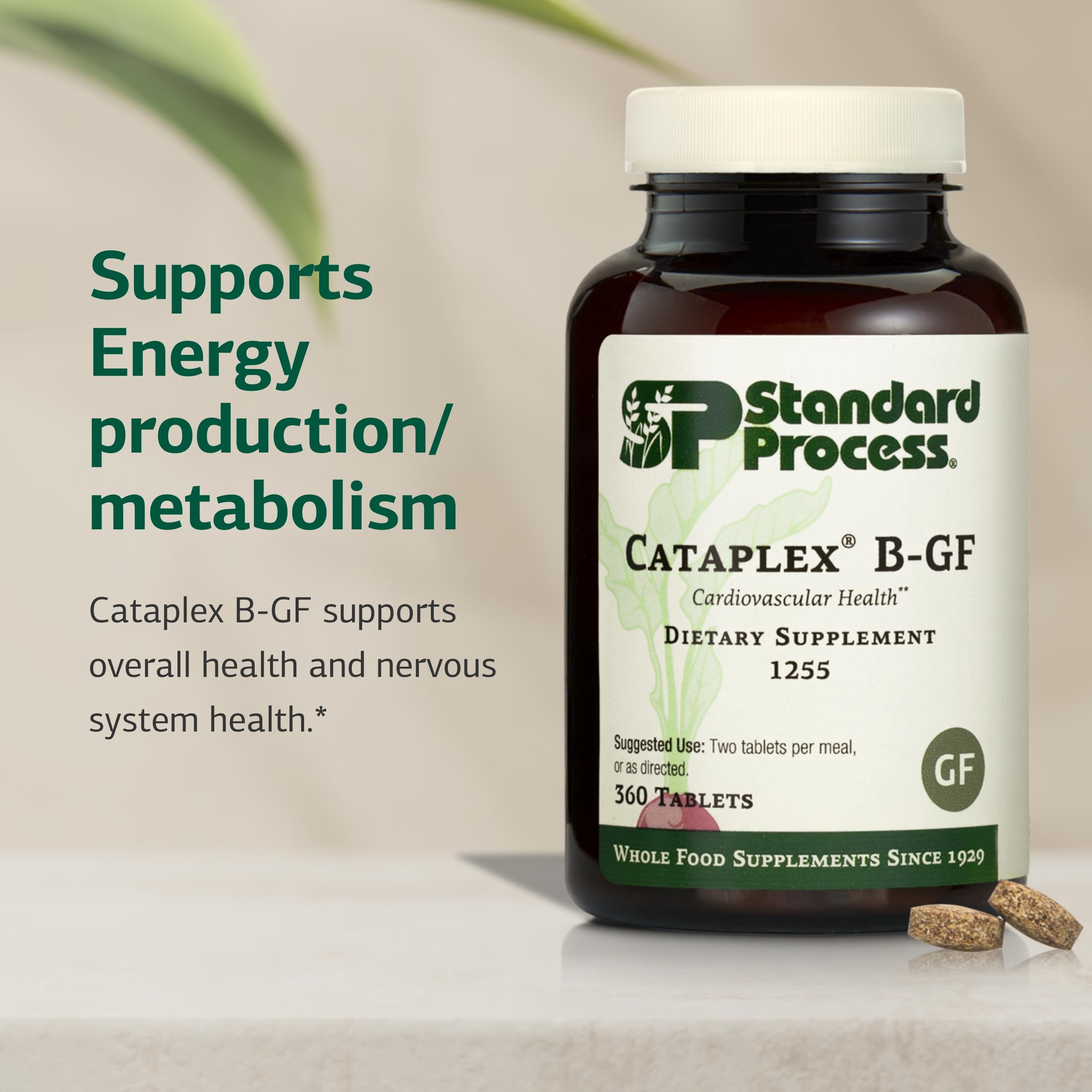 Standard Process Cataplex B-GF - Supports Nervous System Health - B Vitamins for Energy & Heart Support - Aids Energy During Physical Activity - Gluten-Free, Non-Soy & Non-Dairy - 360 Tablets Standard Process Inc. Au supplements