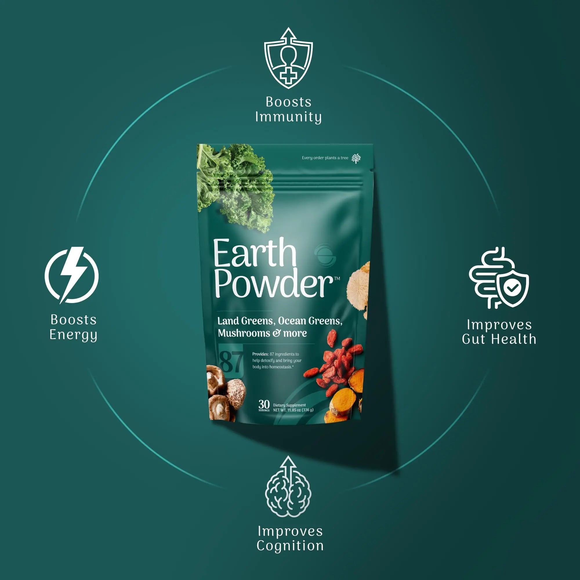 Earth Powder Daily Foundational Nutrition Supplement with 28 Greens & 10 Mushrooms | 87 Nutrients for Energy, Gut Health & Mental Clarity Earth Powder Au supplements