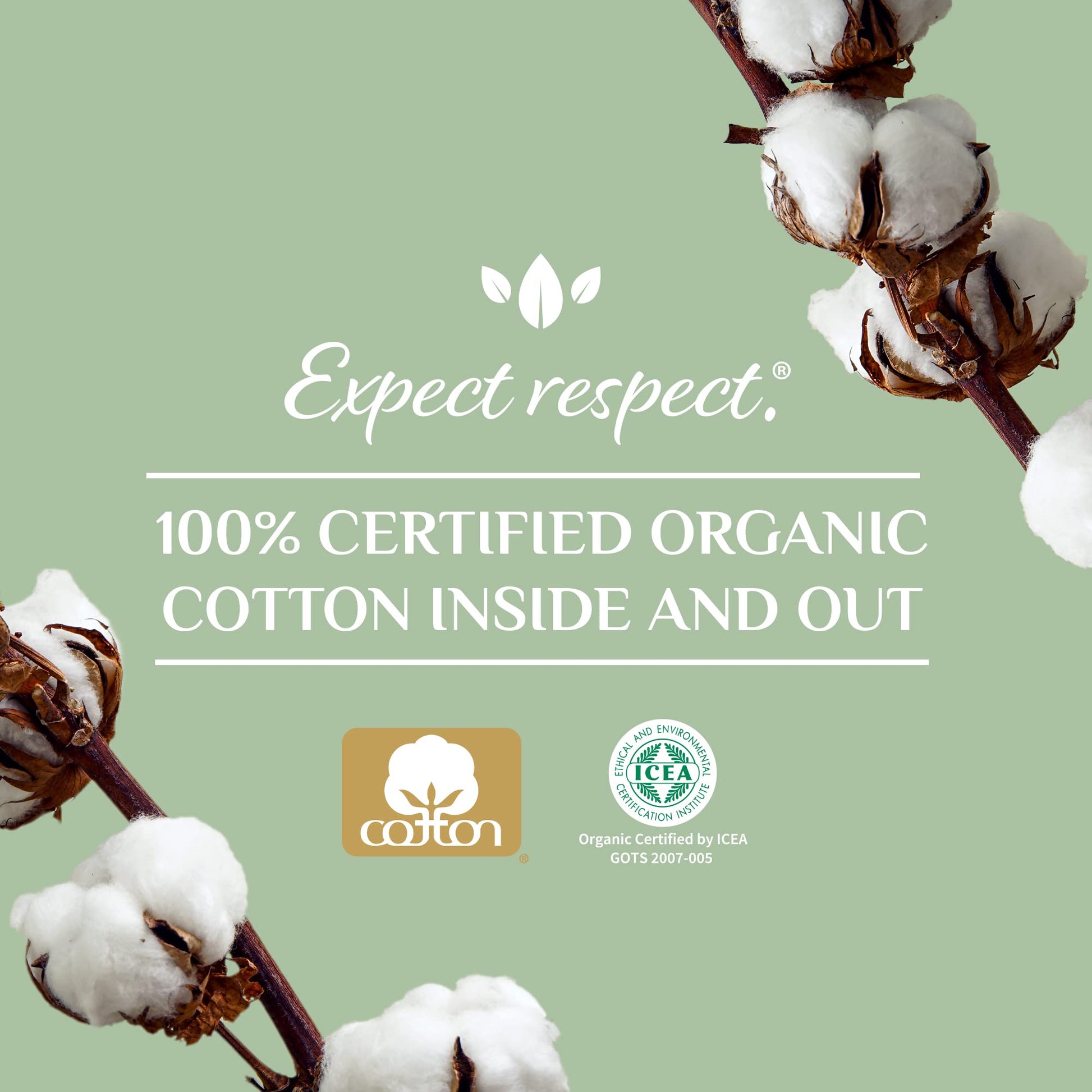 Organyc 100% Certified Organic Cotton Tampons - Cardboard Applicator, Free from Chlorine, Perfumes Organyc Au supplements