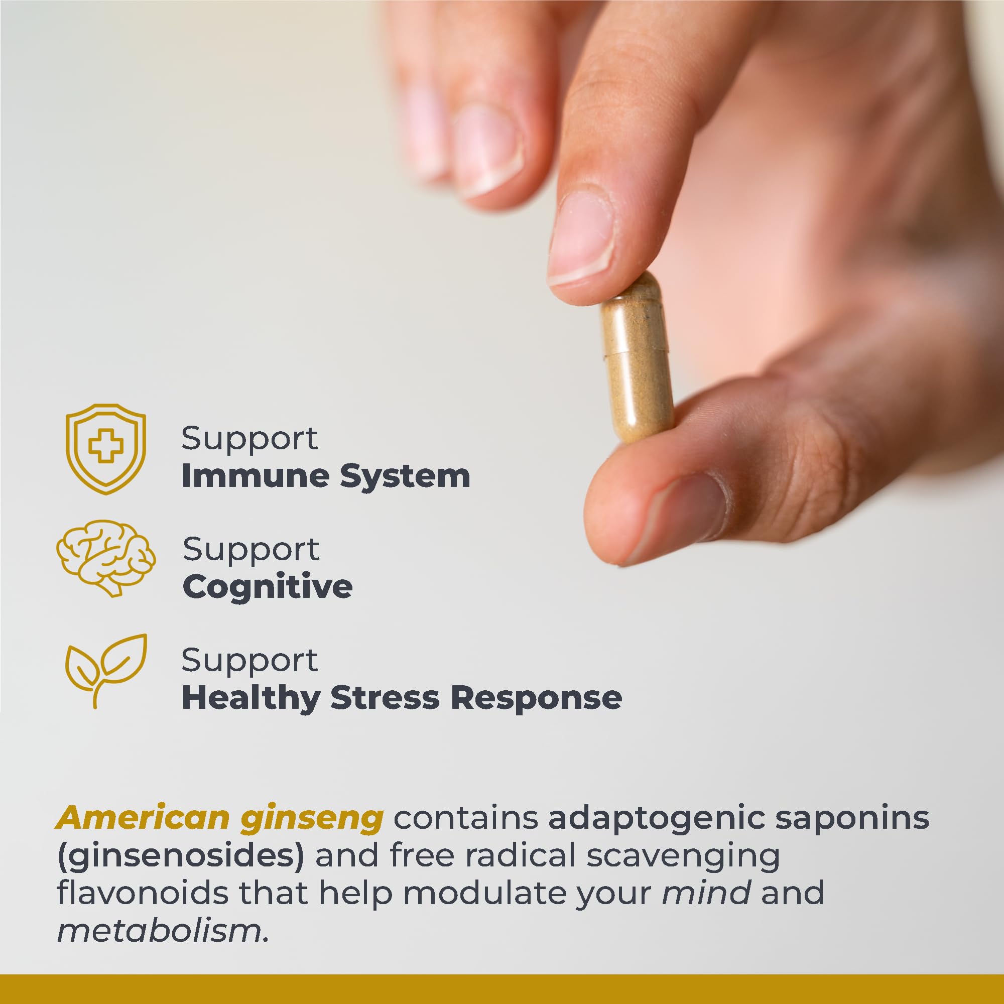 Premier Research Labs American Ginseng Supplement - American Ginseng Capsules, Herbal Ginseng Root Pills, North American Ginseng Herb Extract, Calming Energy Supplement - 60 Plant-Based Capsules Premier Research Labs Au supplements