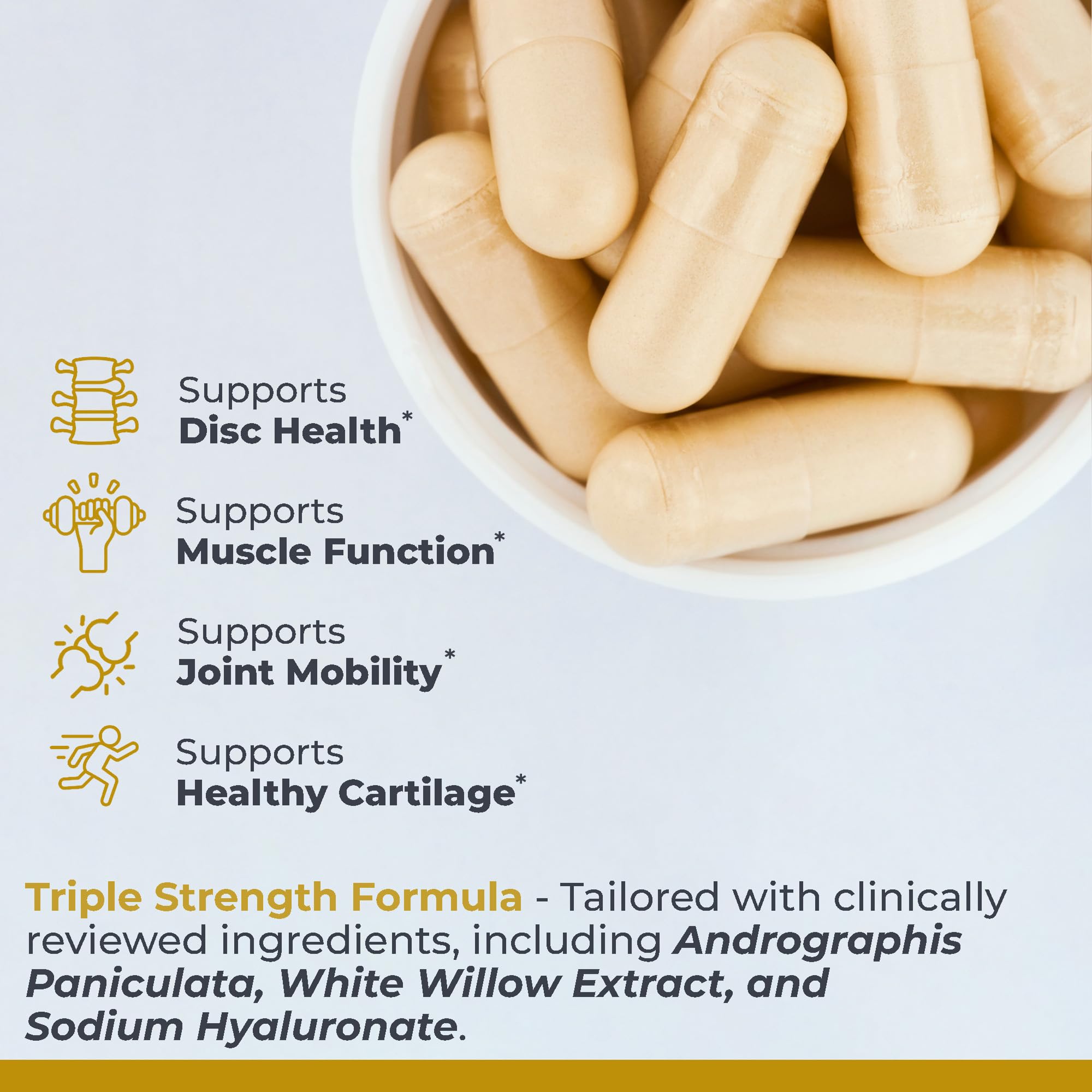 Premier Research Labs Joint & Disc Support Supplement - for Men & Women, Glucosamine, Joint Mobility and Muscle Health, Cartilage Repair, Gluten Free, Plant-Sourced - 90 Capsules Premier Research Labs Au supplements