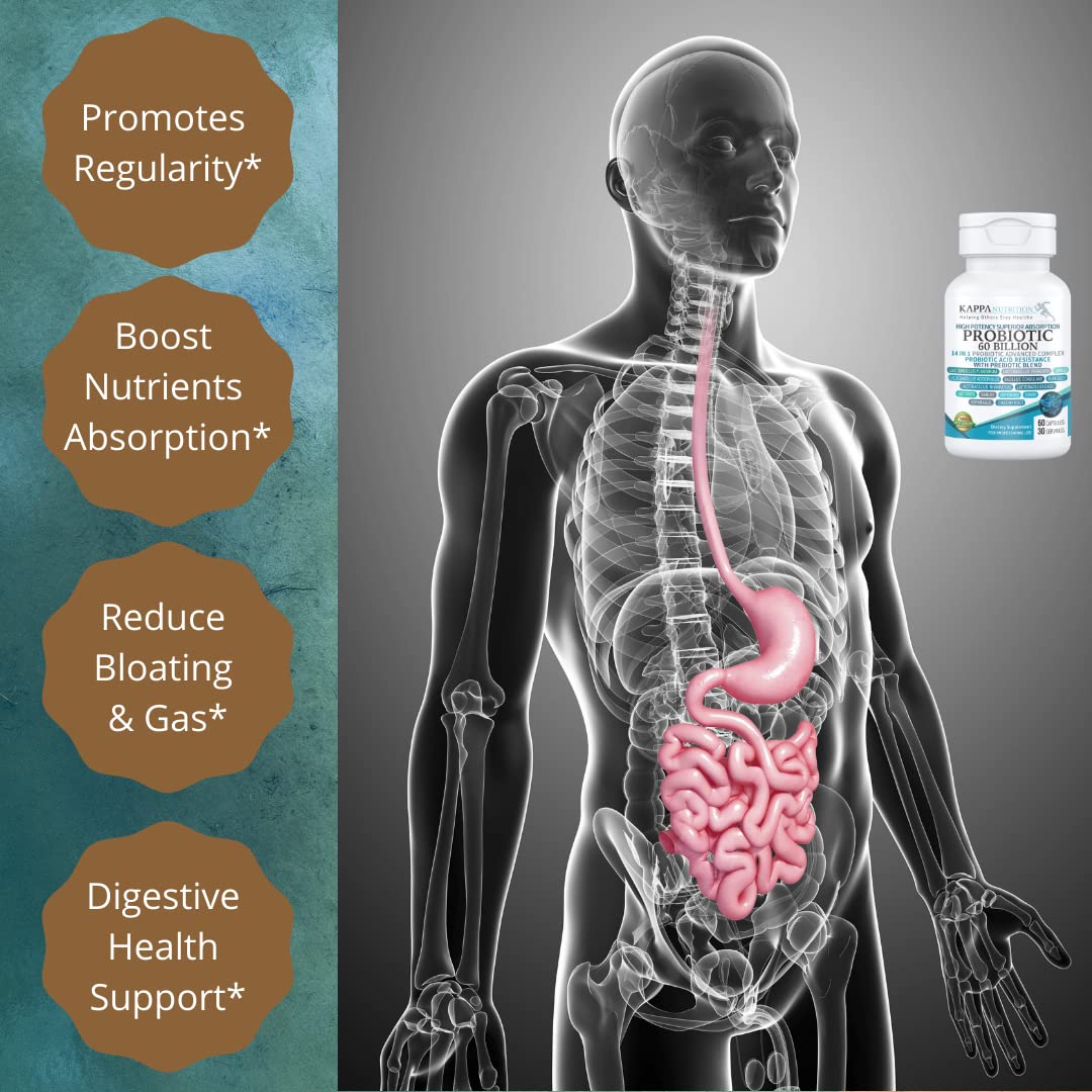 KAPPA NUTRITION Probiotic 60 Billion CFU 14 in 1 Formula with Prebiotics & Acidophilus for Women, Men & Adults, Shelf Stable, Acid Resistant, Natural Supplement 60 Capsules. KAPPA NUTRITION Au supplements