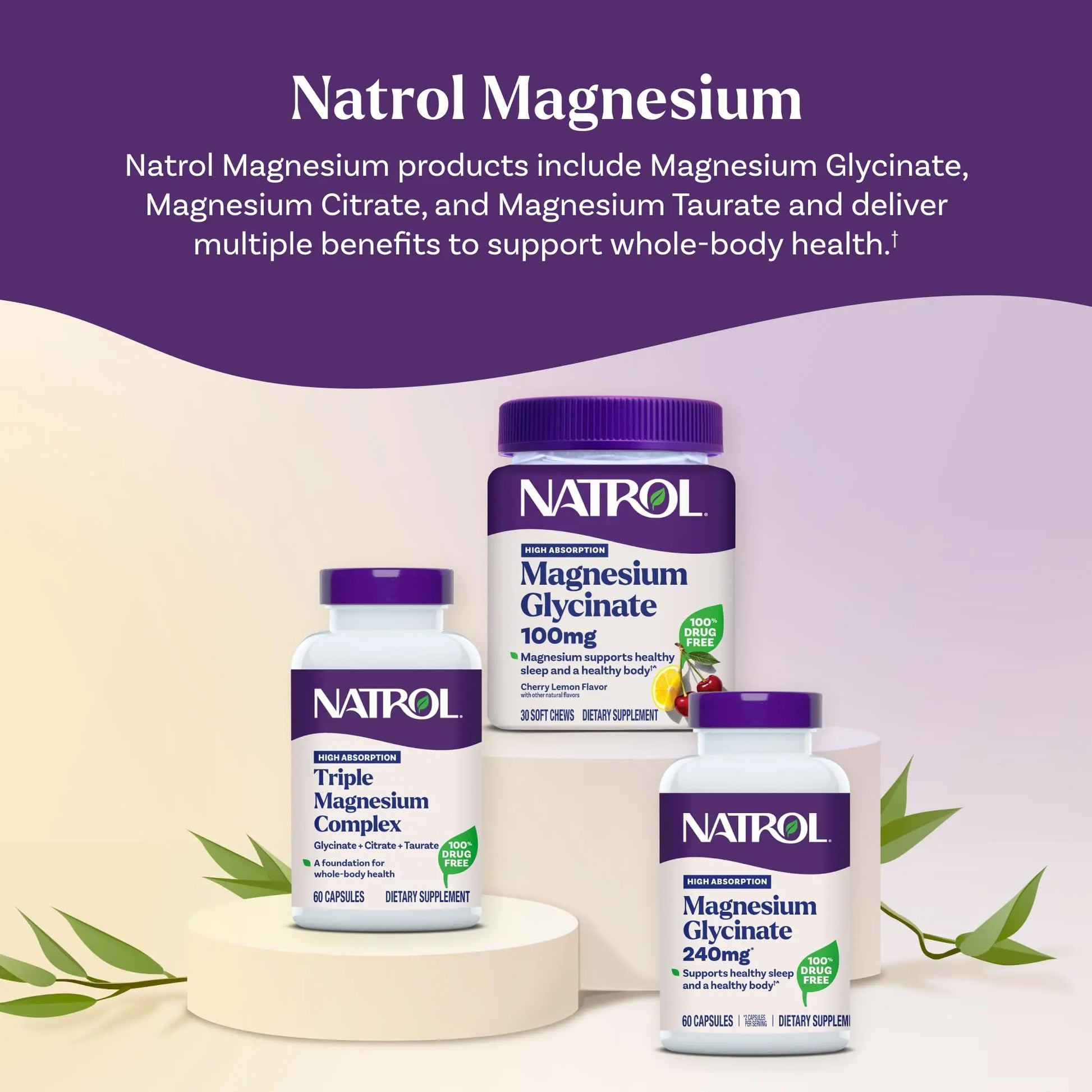 Natrol Triple Magnesium Complex Supplement, Glycinate, Citrate & Taurate 200mg High Absorption, Support Whole Body Wellness, 60 Capsules Natrol Au supplements