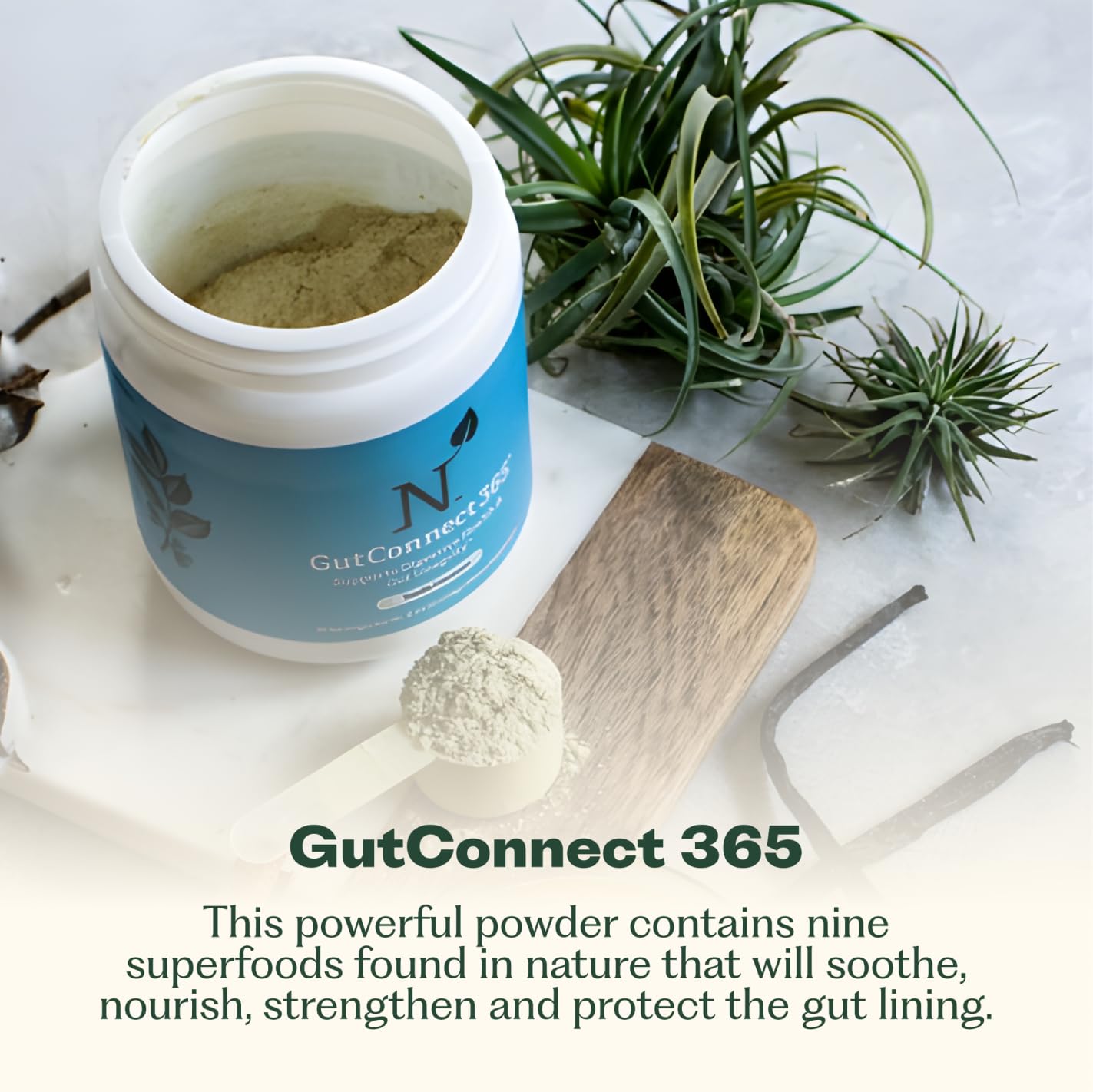 GutConnect 365 Gut Health Superfood Powder | Formulated With Slippery Elm Bark & L Glutamine | Vegan Certified | Allergen Free | Non-GMO | Soy Free | Made in the USA | 30 Servings – Vanilla Cinnamon Nature M.D. Au supplements