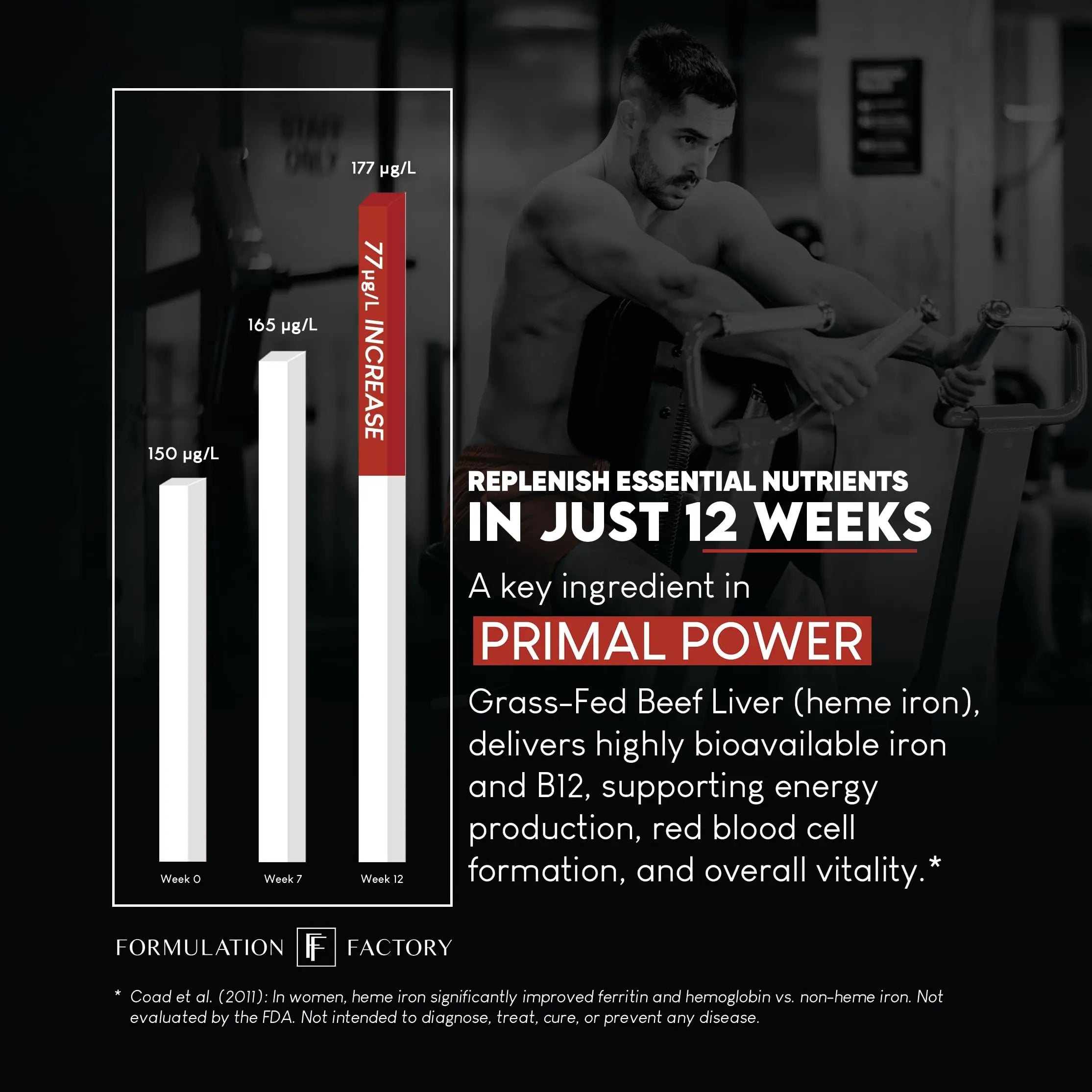 Formulation Factory Primal Power 10-in-1 Grass-Fed Organ Supplement with Beef Liver, Heart, Marrow, Testicle, Kidney, Supports Vitality, Hormones, Energy, Immunity (4 Month Supply, 240 Capsules) Formulation Factory Au supplements