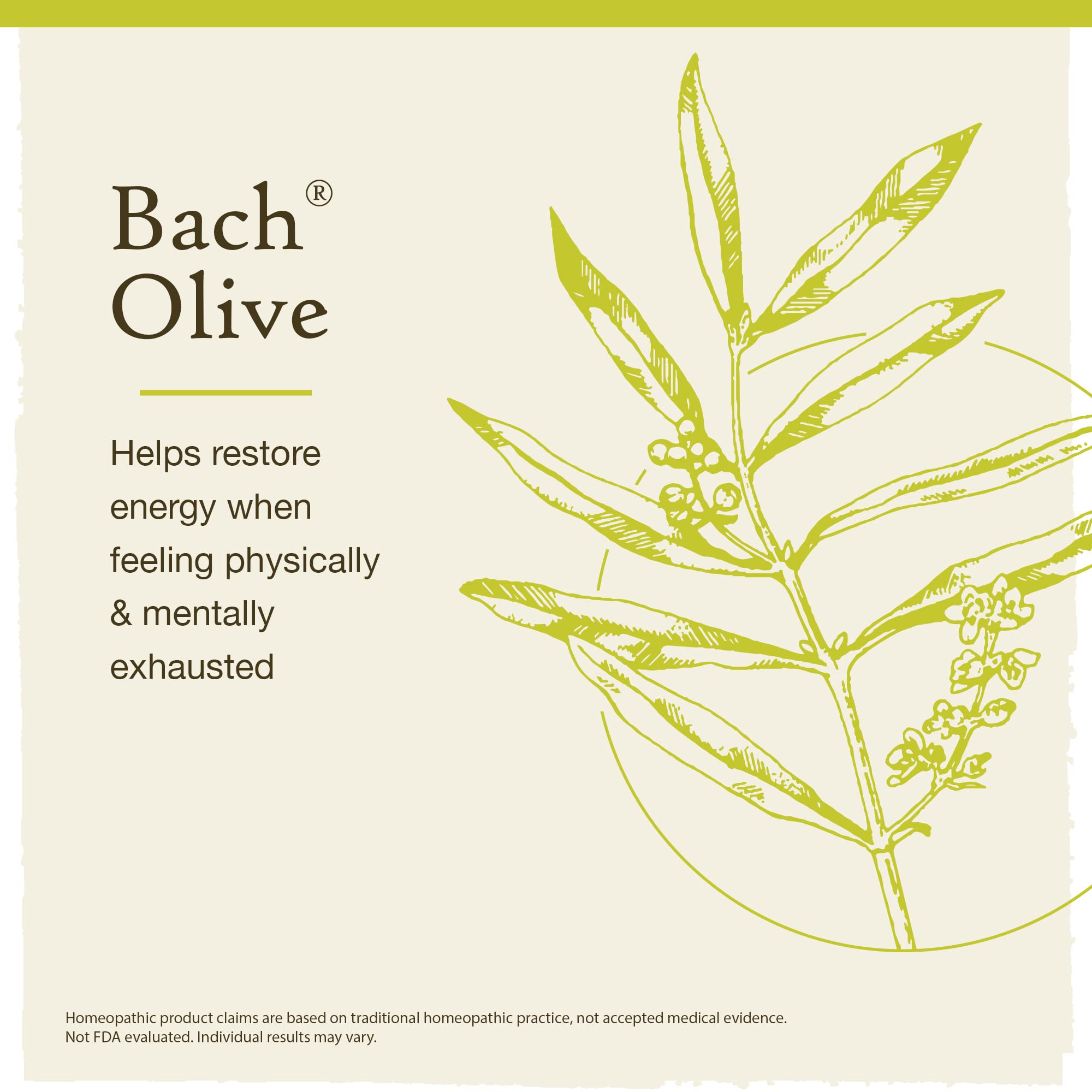 Bach Original Flower Remedies, Olive for Energy (Non-Alcohol Formula), Natural Homeopathic Flower Bach Au supplements