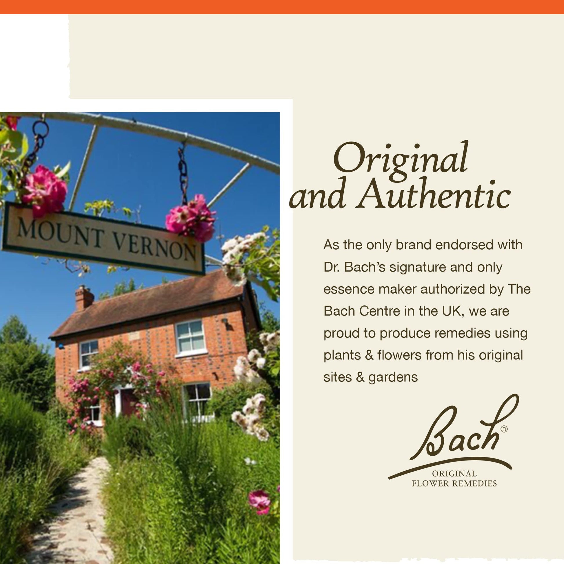 Bach Original Flower Remedies, Mimulus for Facing Fears (Non-Alcohol Formula), Natural Homeopathic Bach Au supplements